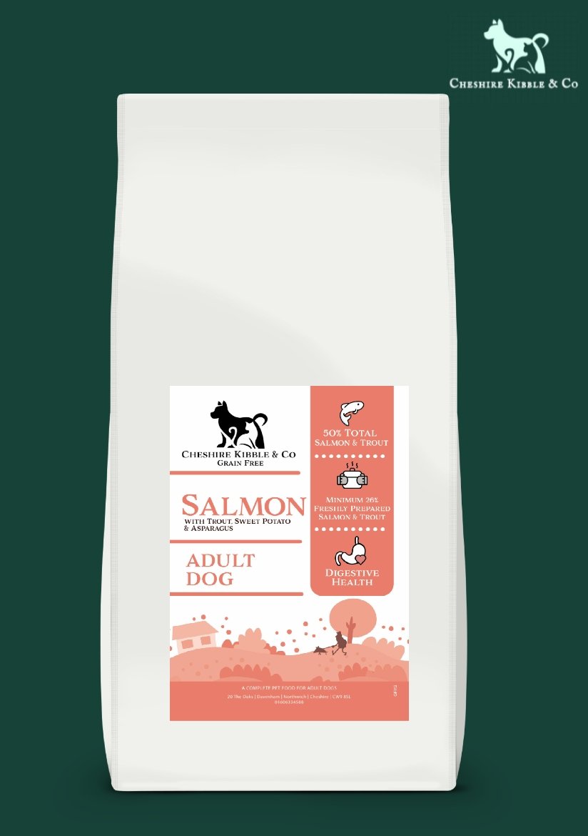 salmon dog.jpg