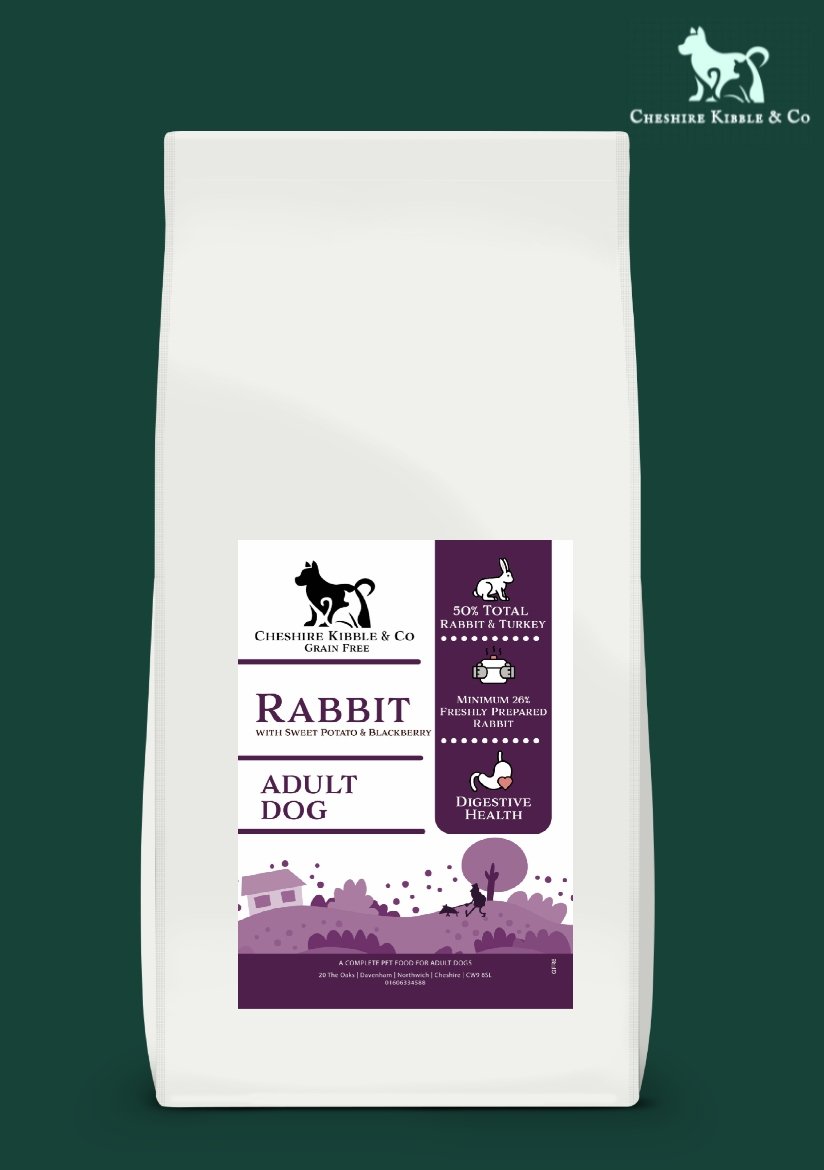 rabbit dog.jpg