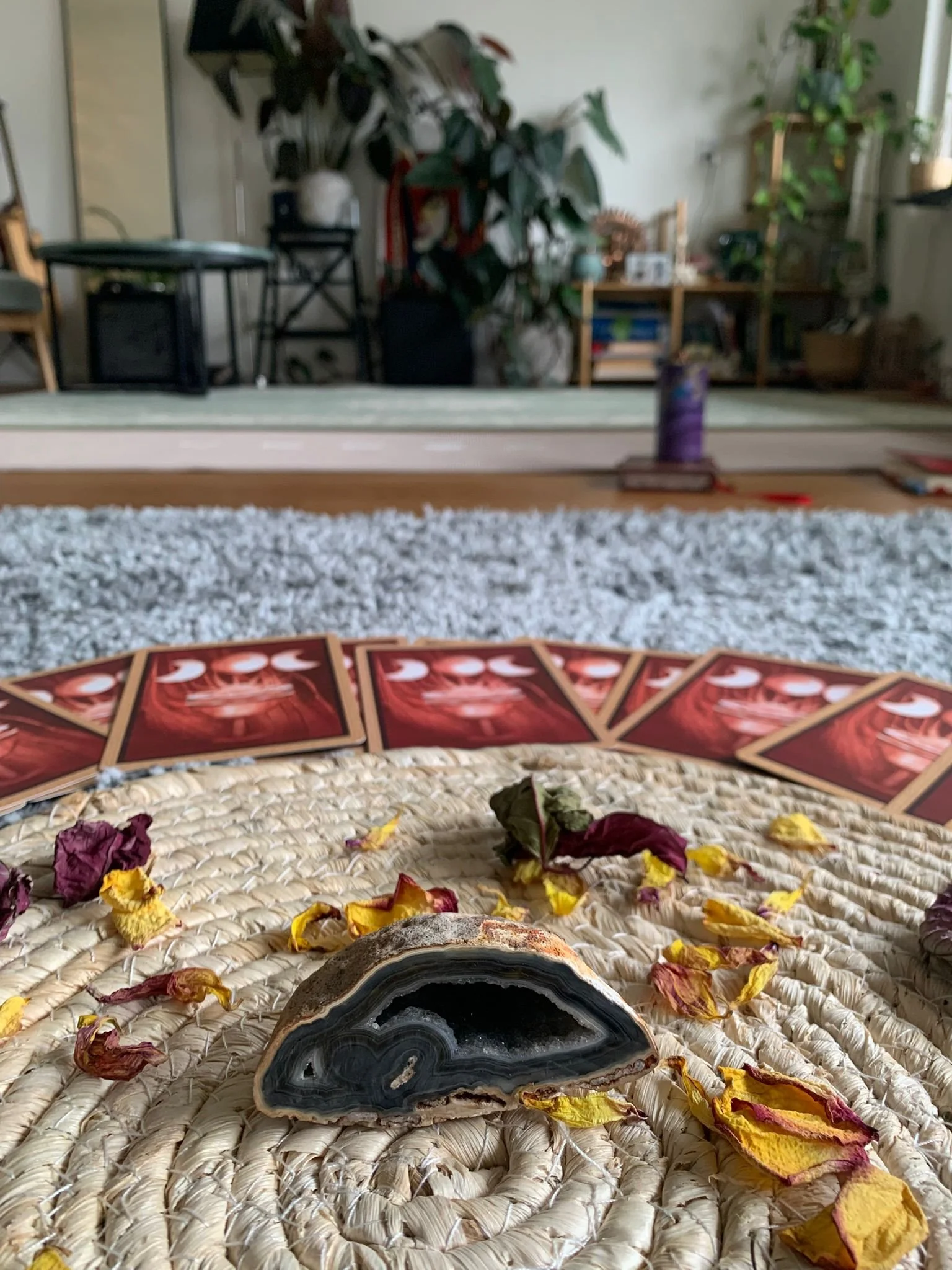 WhatsApp Image 2025-05-11 at 00.19.31 (2).jpeg