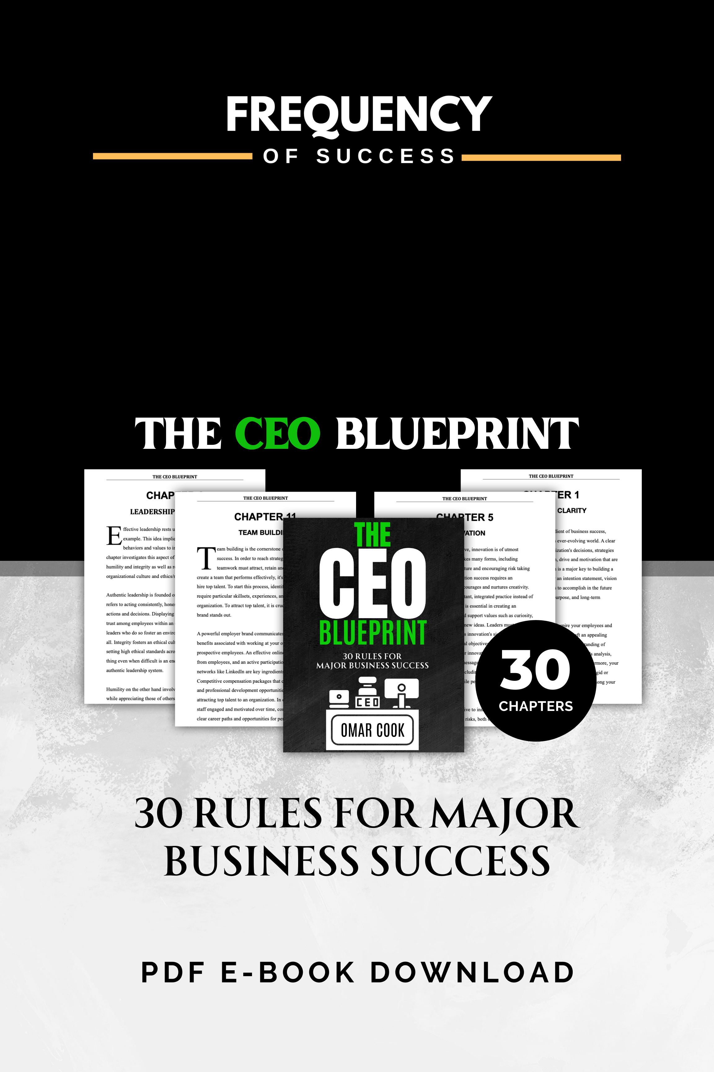 The CEO Blueprint ebook.png