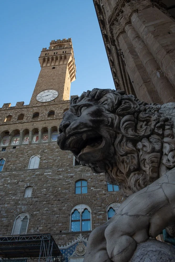 Medici Lions