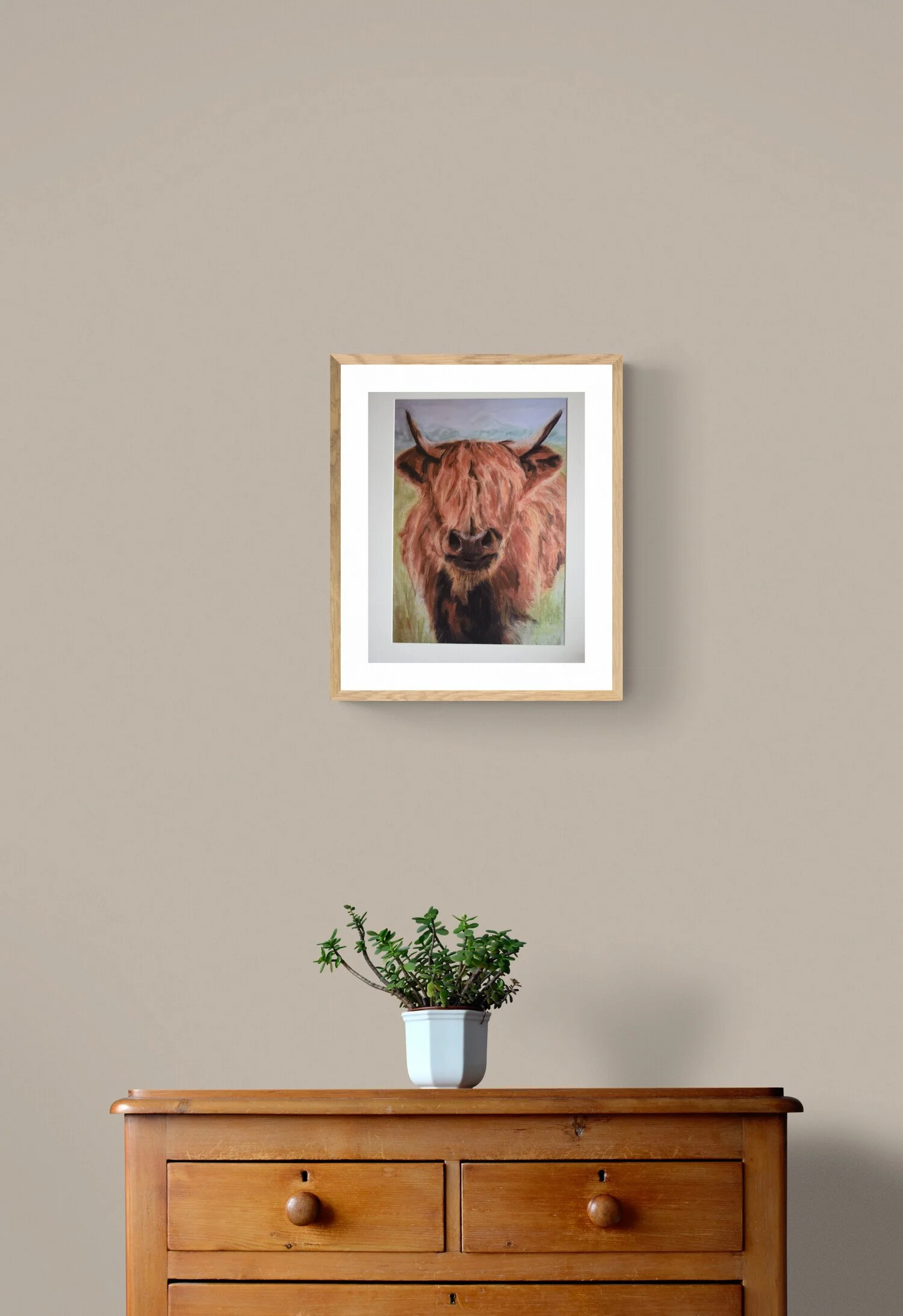 plant-on-wooden-drawers (1).jpg