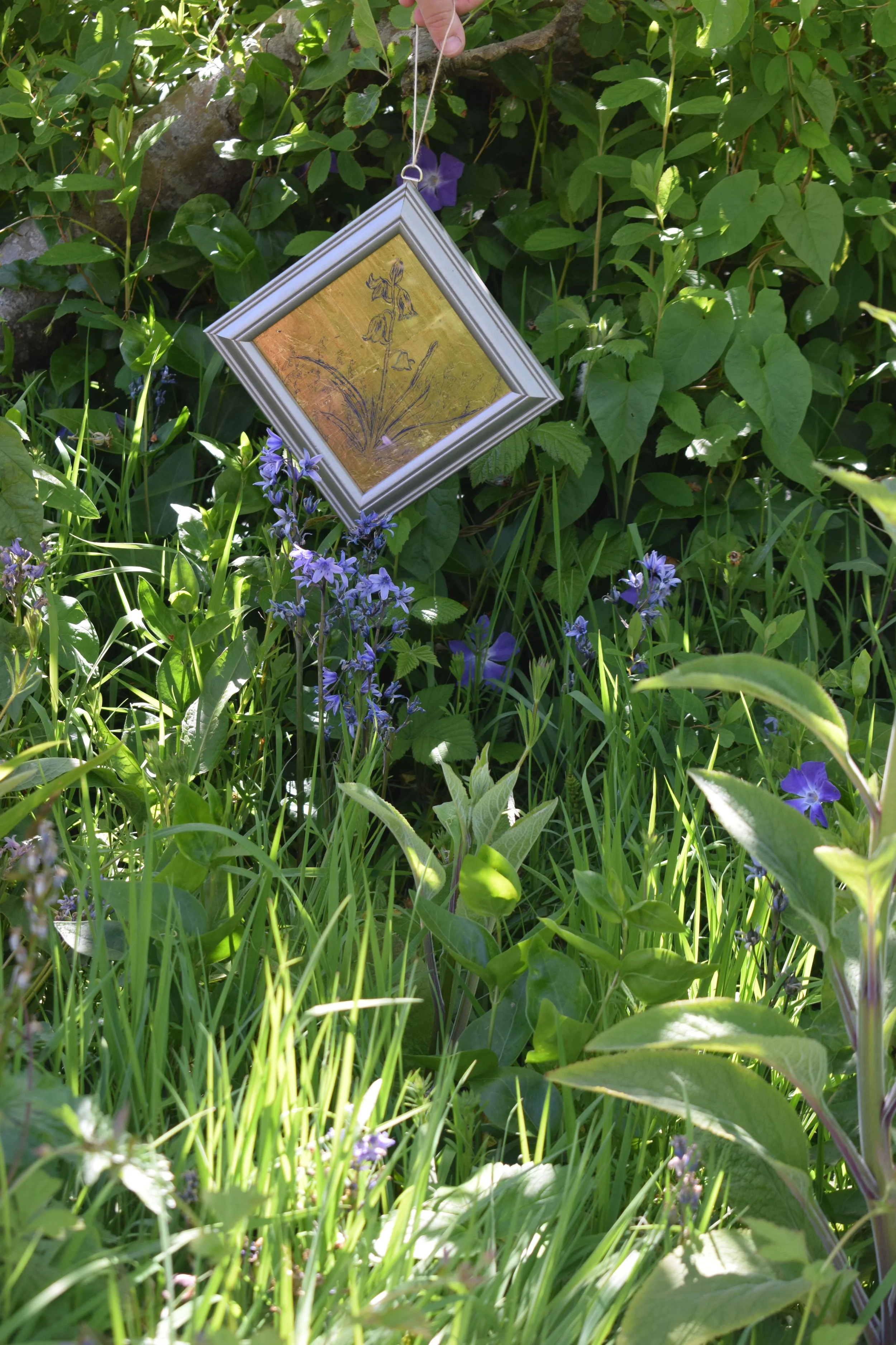 DSC_0434.JPG