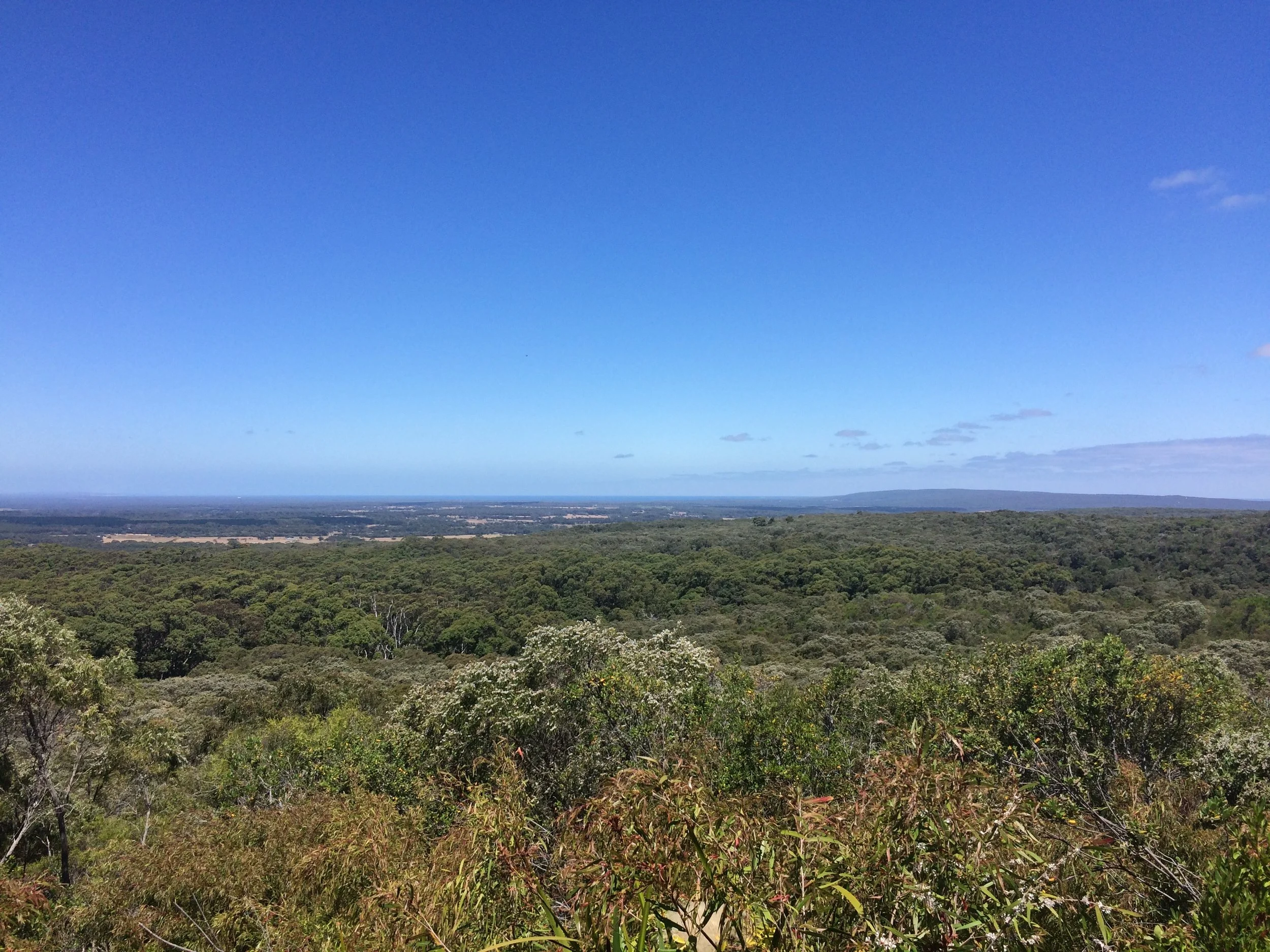 Vast landscape with green forest in the foreground and rolling hills in the background under a blue sky with few clouds.