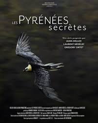 Les rapaces et la faune des Pyrénées