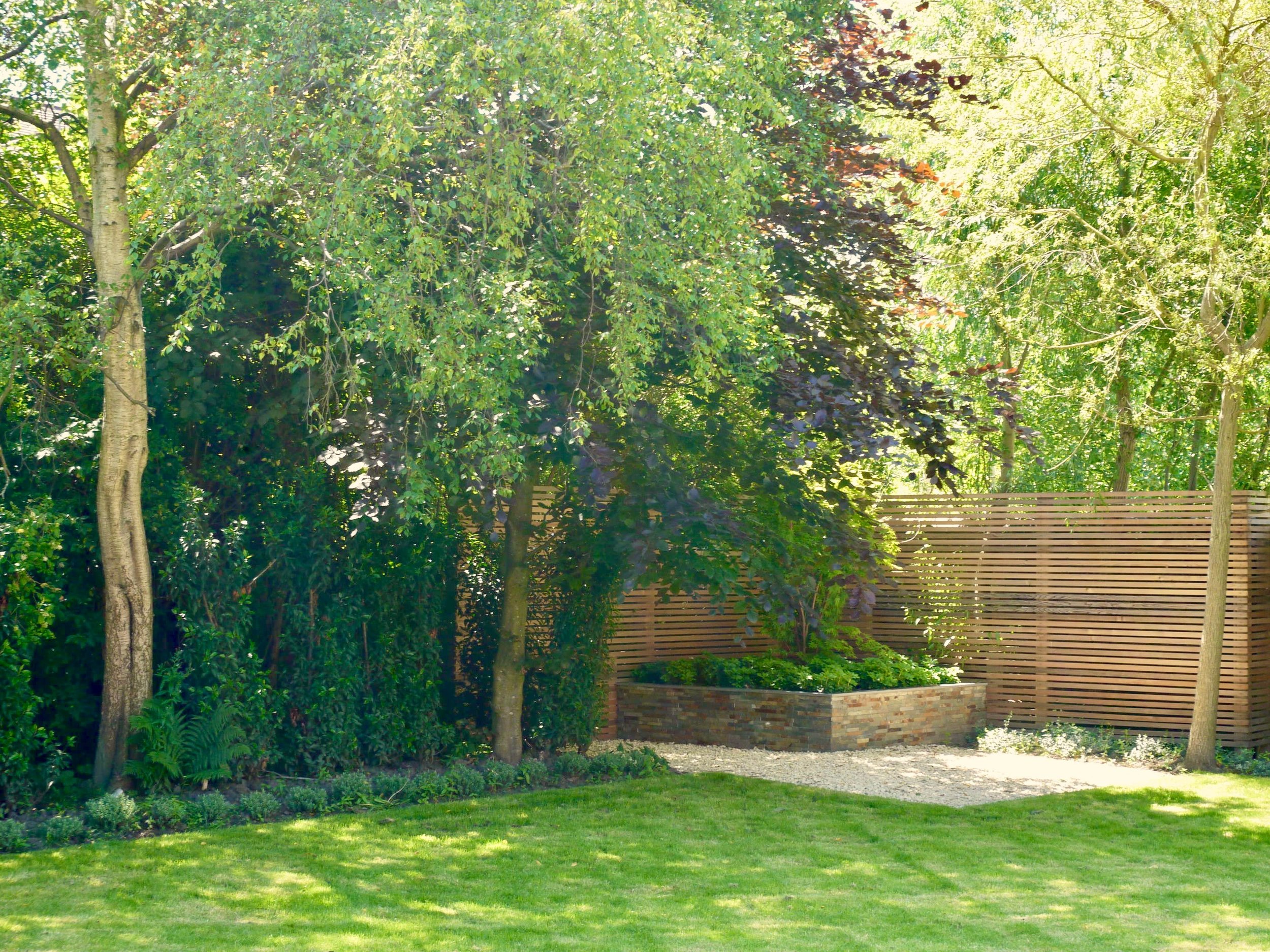An image showing the new corner planting bed and cedar screening