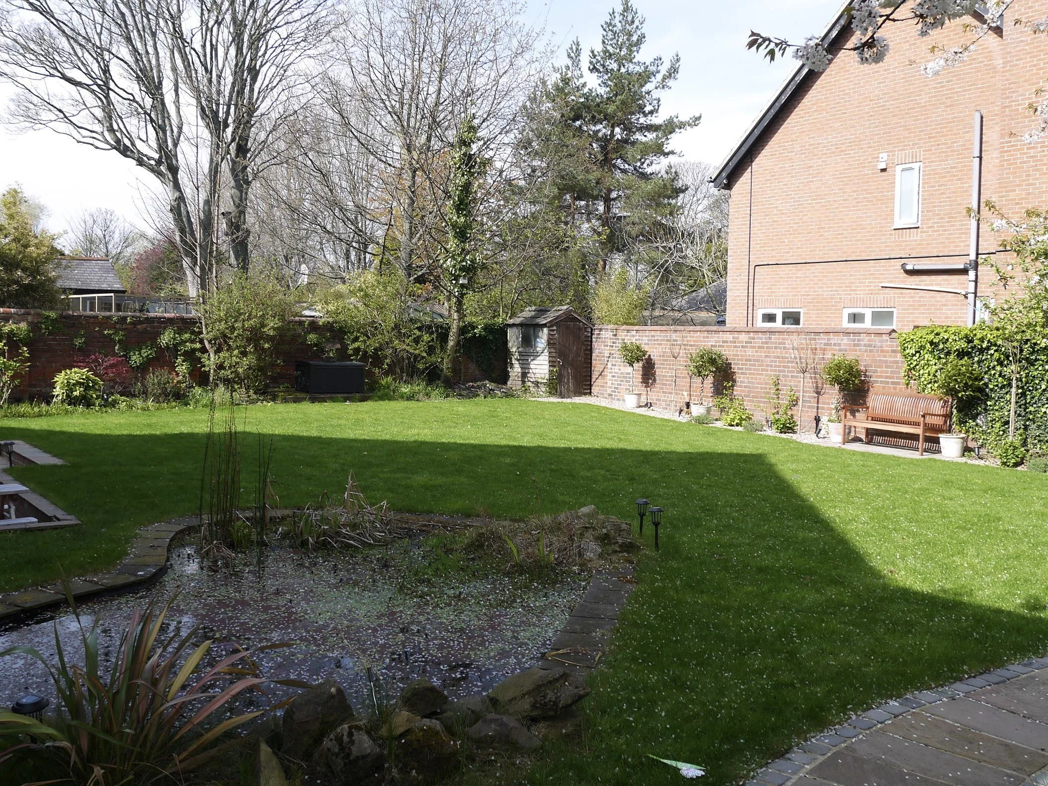 A photograph of the garden before work started