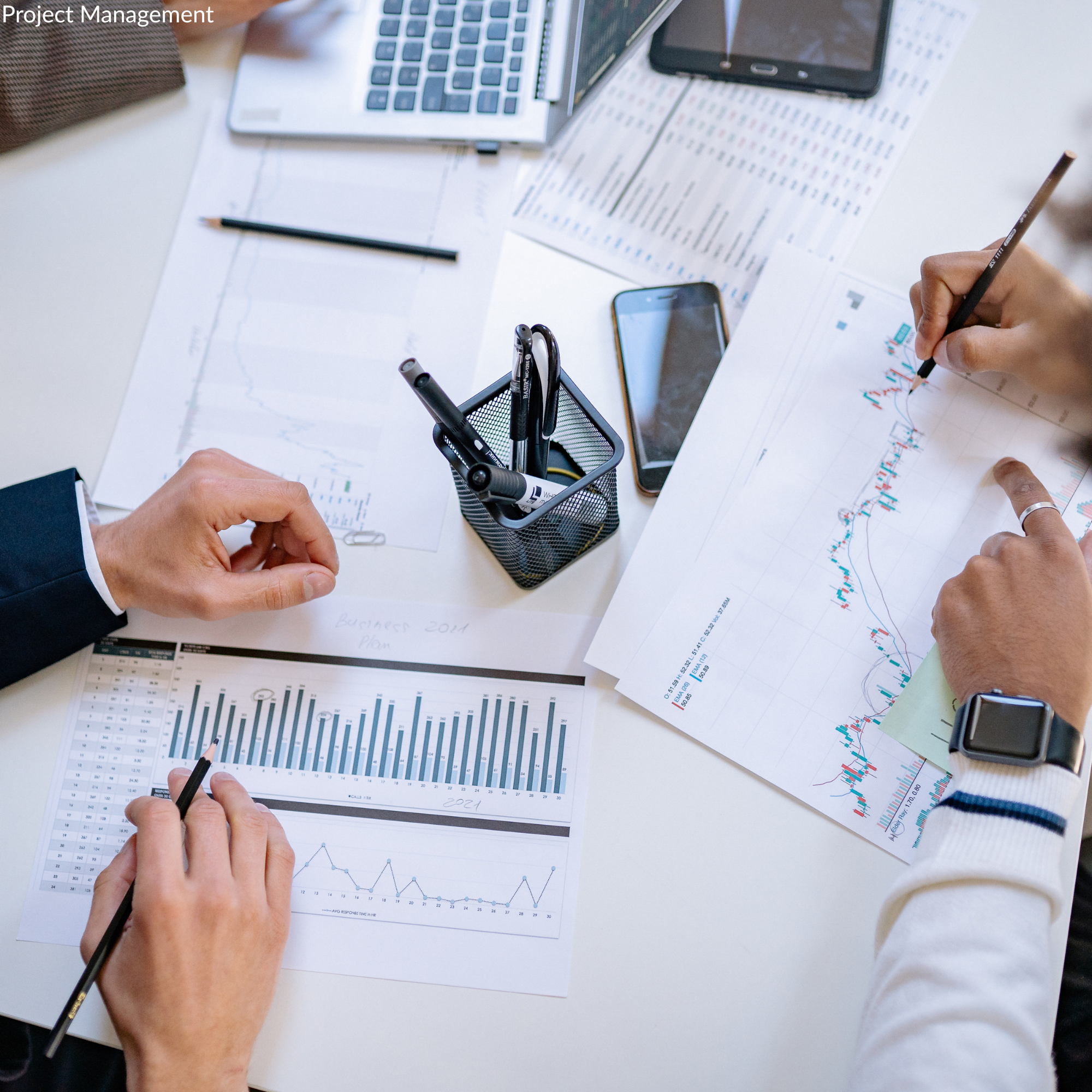 Project Management