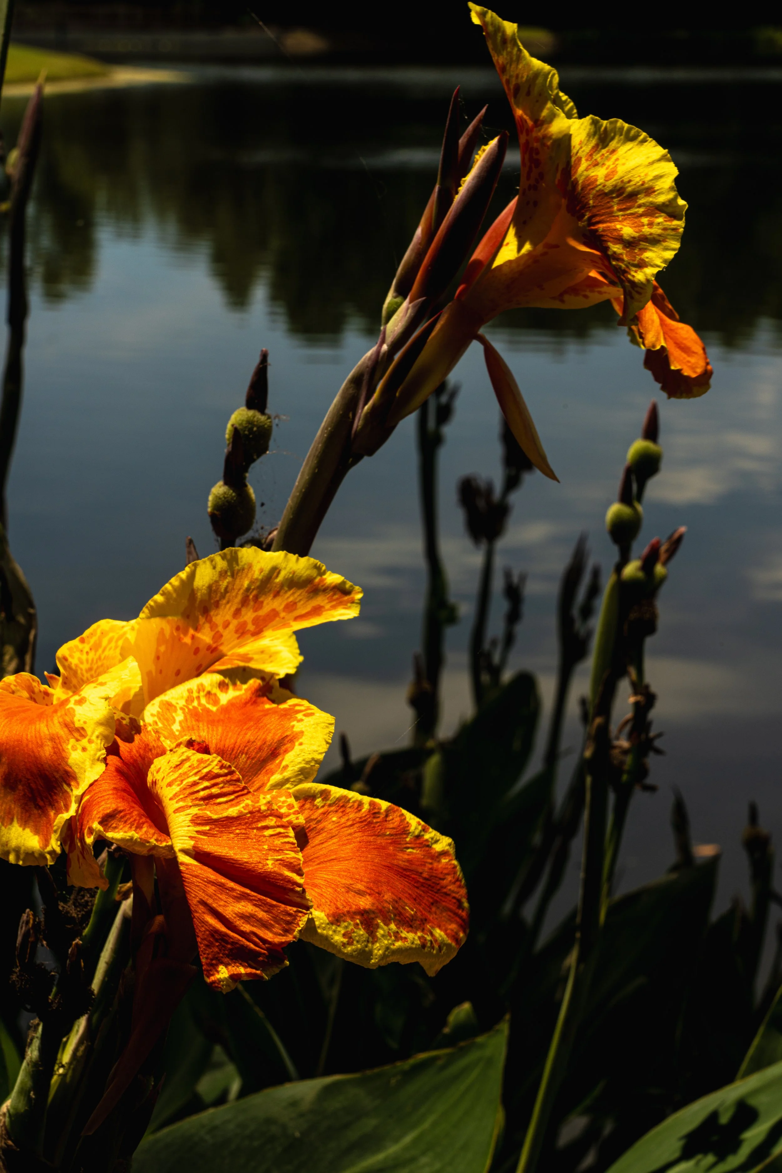 HIGHWAY_SHOT_ME_lifestyle-portraiture-nature-photography.jpg