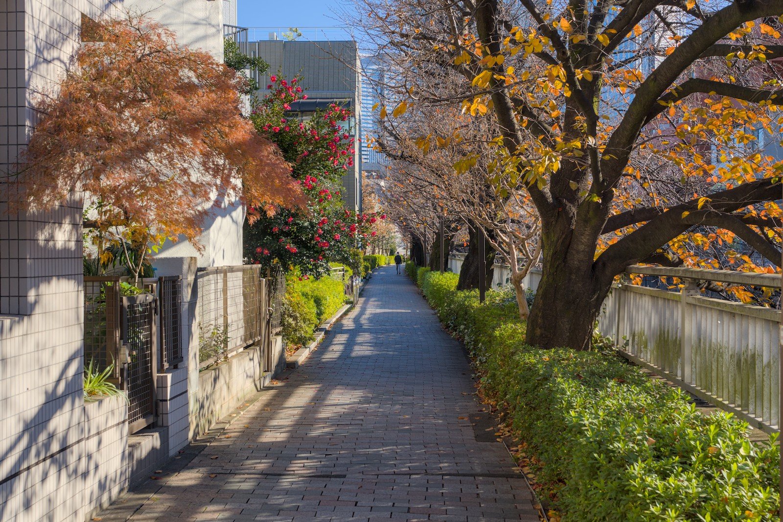 2024 12 15 Bicycle ride along Kanda river
