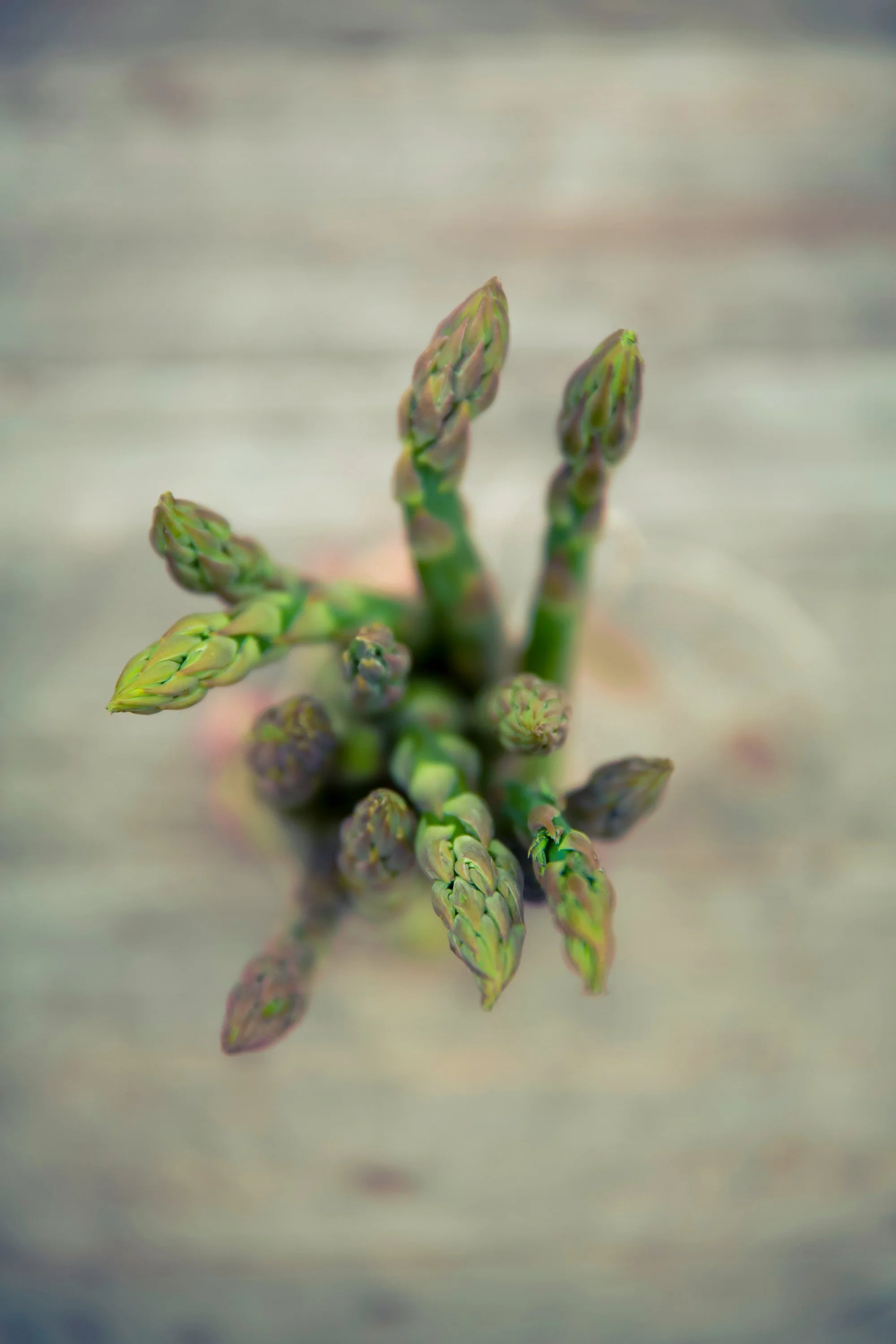 Close-up of green asparagus spears on a light wooden surface