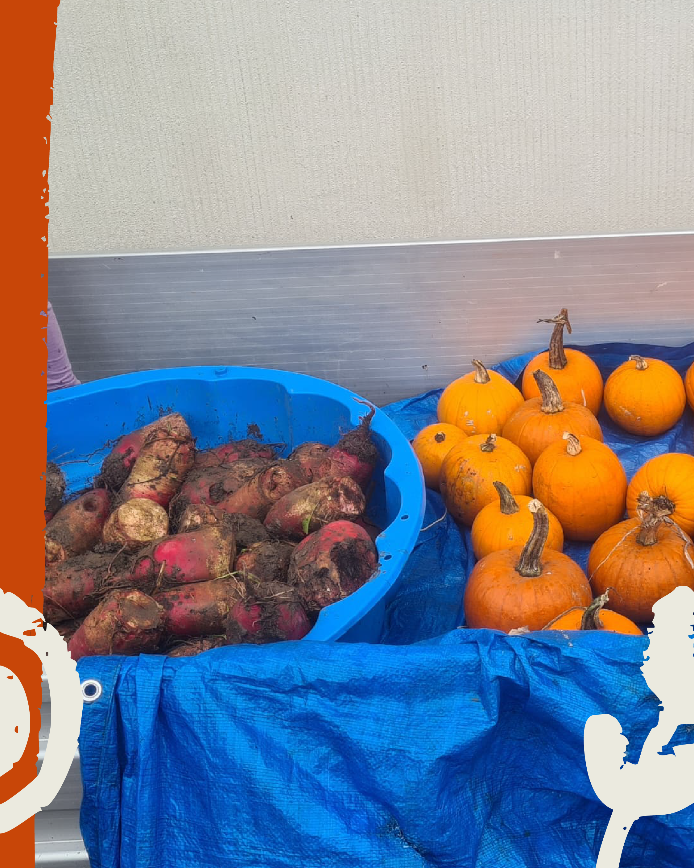 Samhain_Zeichenfläche 1 Kopie 2.png