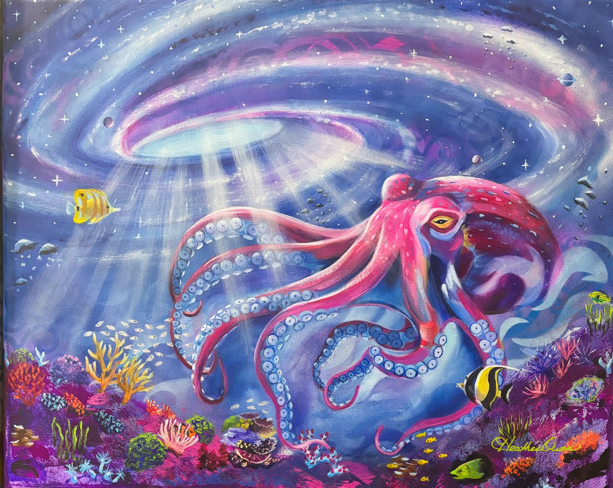 The Universe Below | 18 x 20