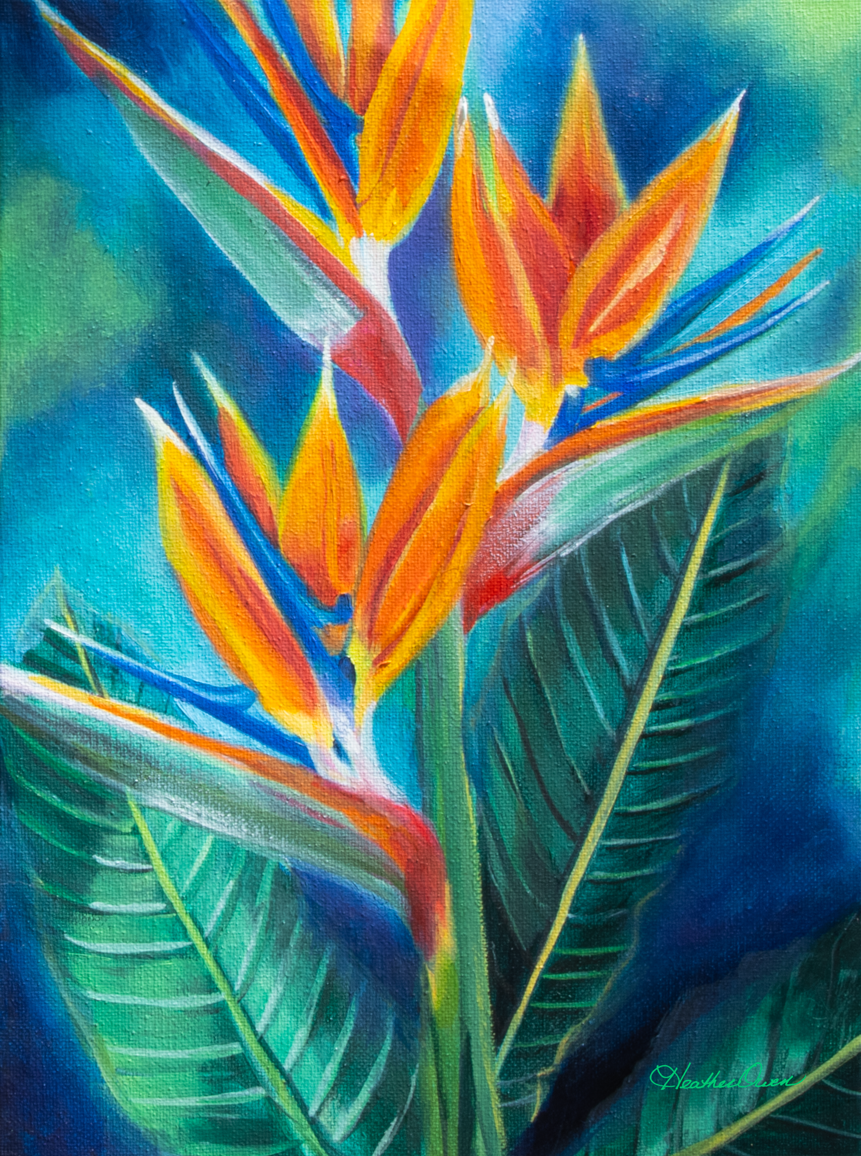 Bird of Paradise | 8 x 10