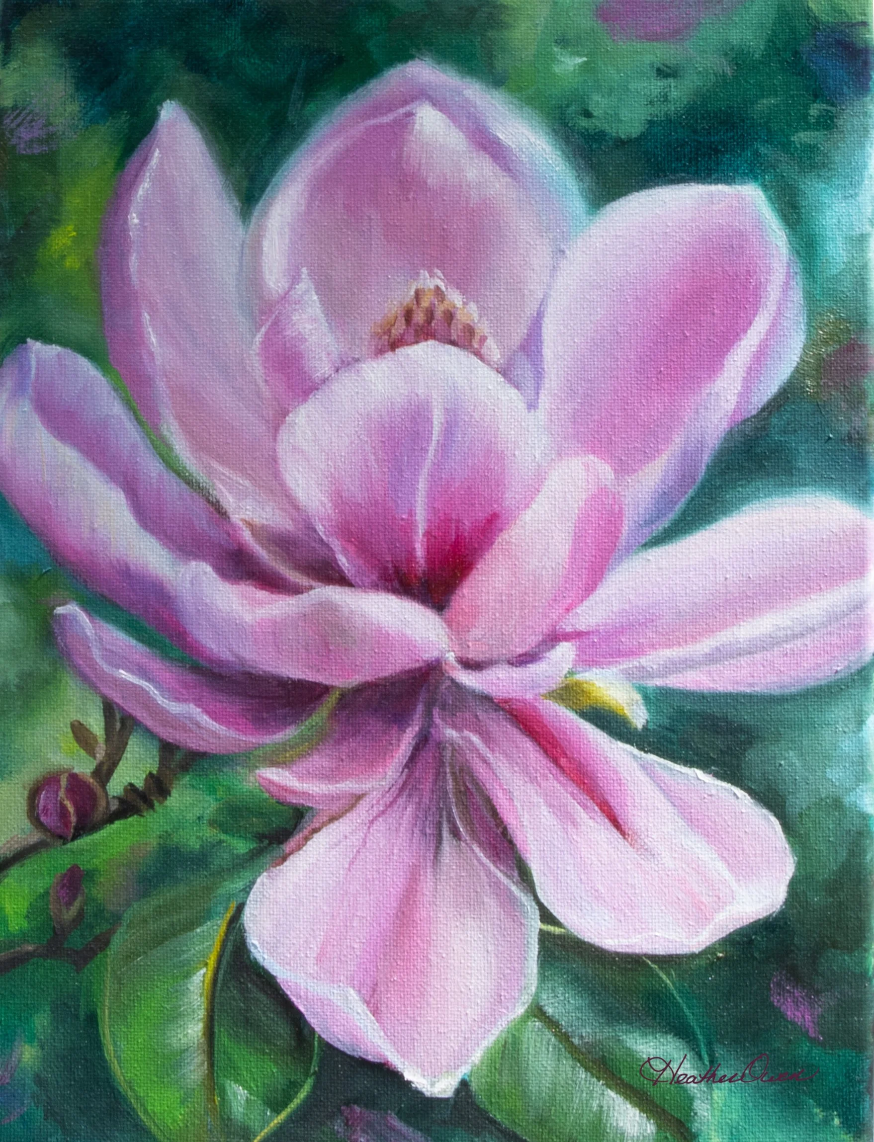 Joyful Saucer Magnolia | 8 x 10