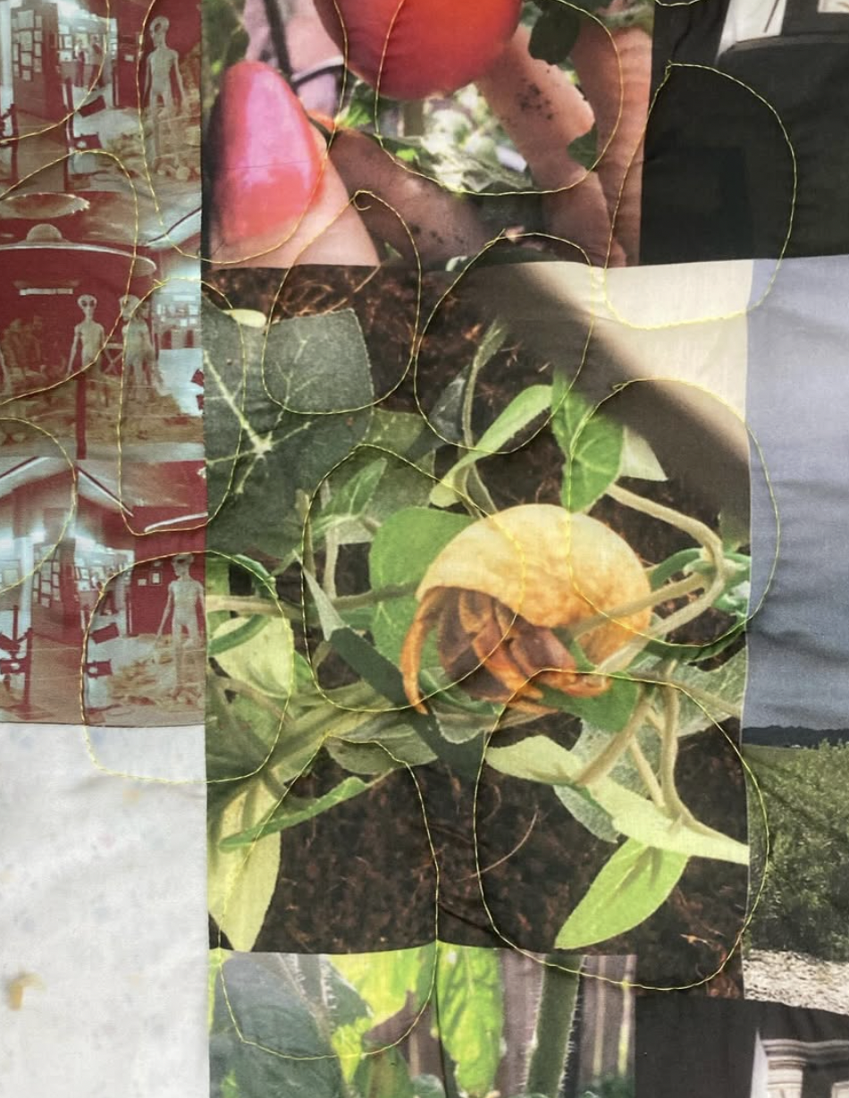 Screenshot 2025-12-23 at 5.17.35 PM.png