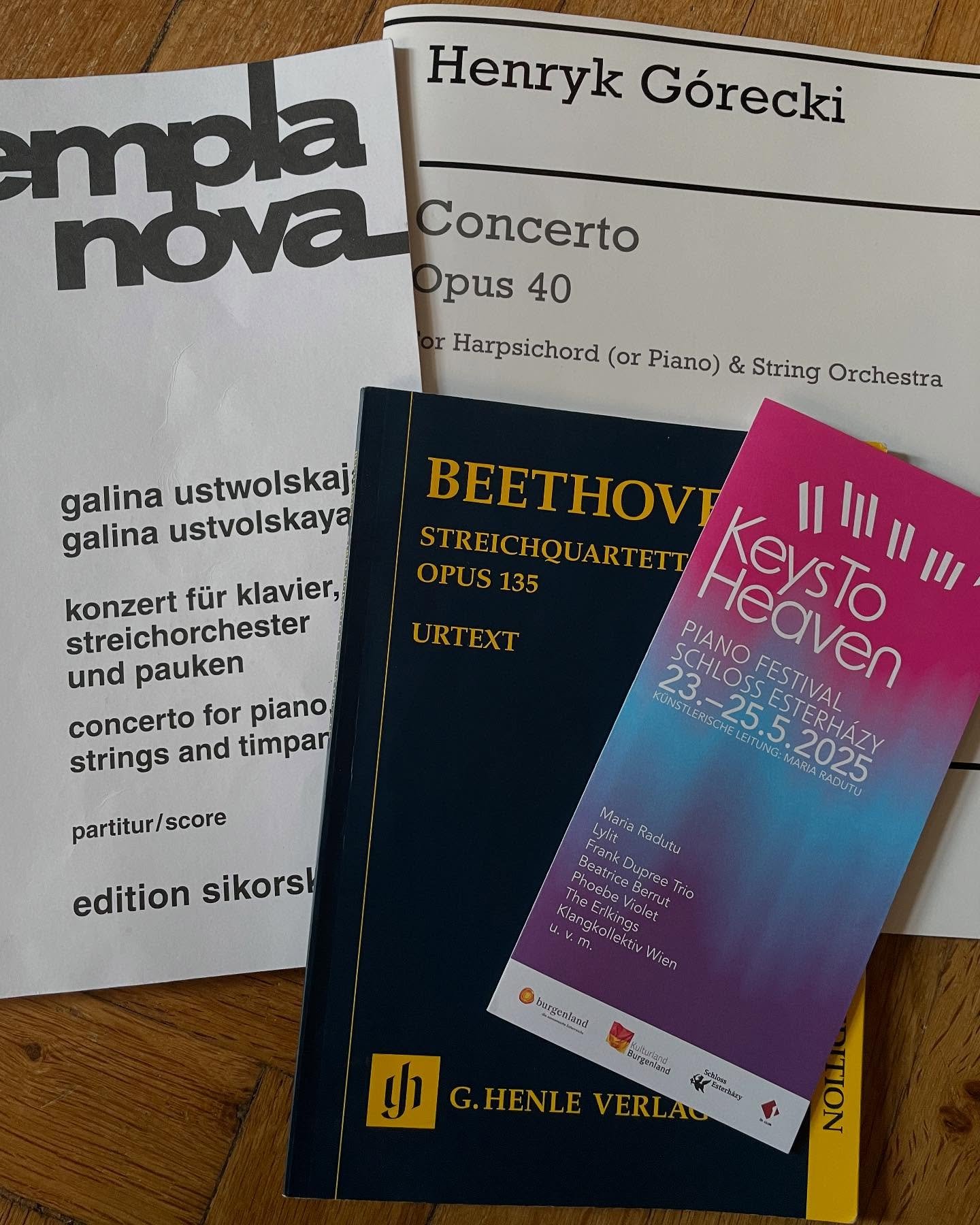 Preparing for the “Keys to Heaven” piano festival!
An extraordinary programme with the @klangkollektivwien_official Wien and pianist @mariaradutu in a legendary hall with exceptional acoustics! Haydn Hall at Schloss Esterhazy!
Save the Da