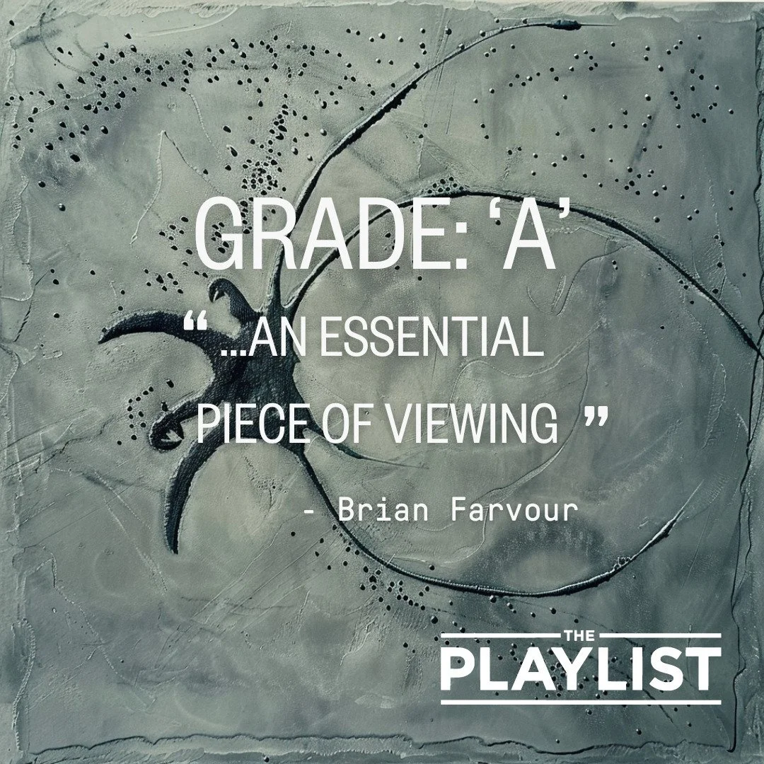 Grade 'A'!
#thewhitehouseeffect