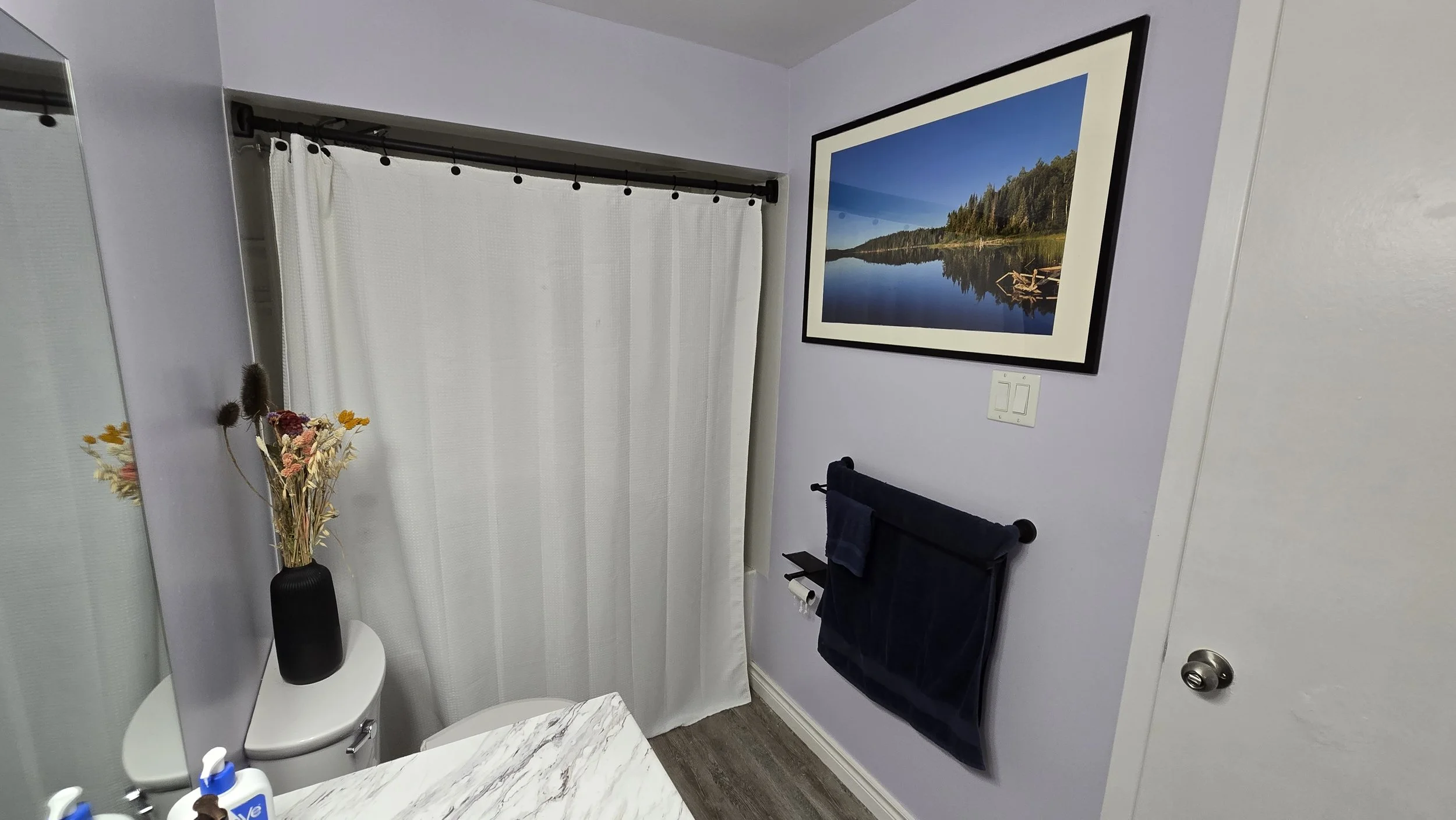 Bathroom refresh with freshly painted walls, framed custom photography, decorative vase and hotel-grade quilted shower curtain.