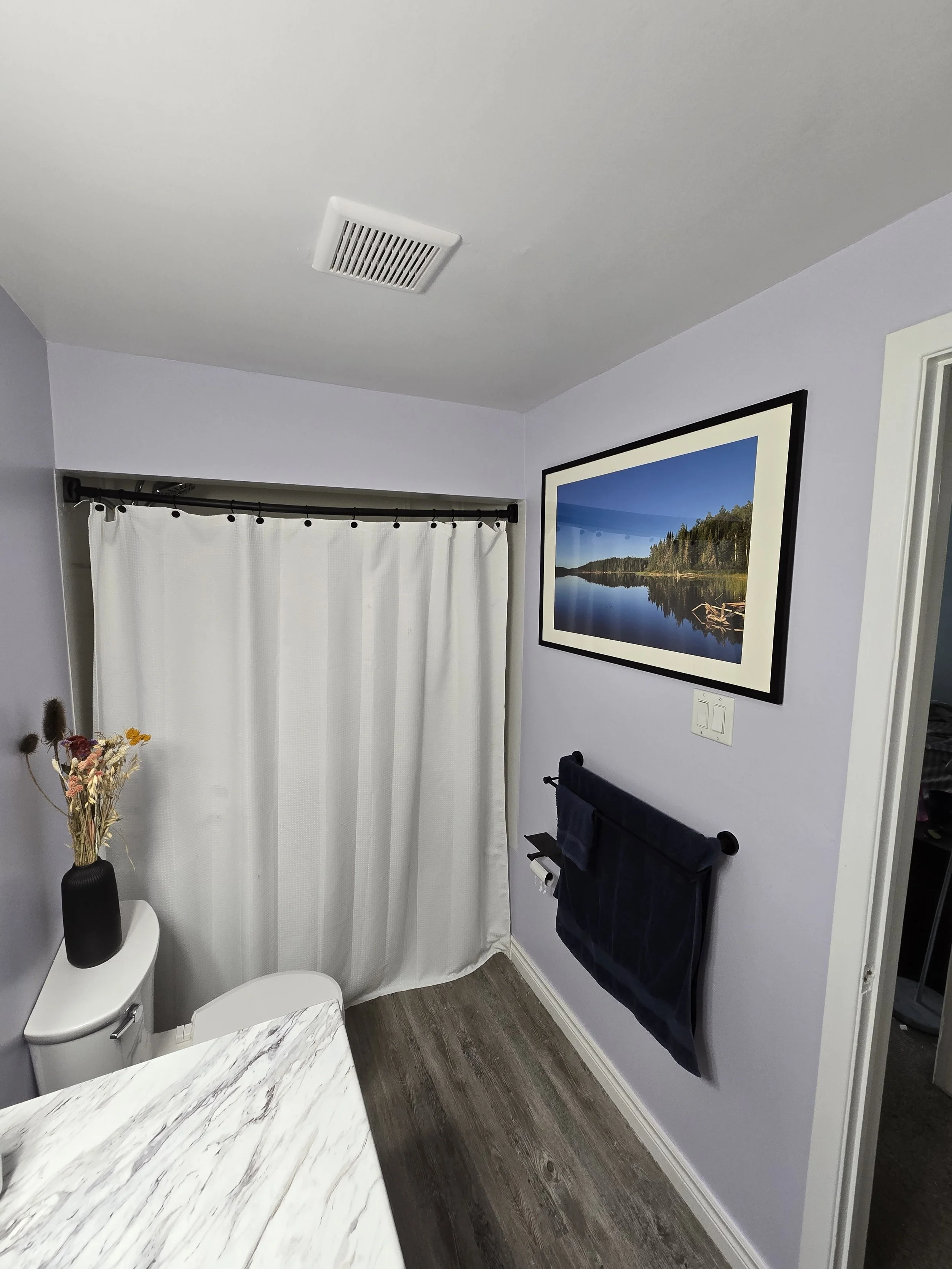Bathroom renovation in London, Ontario featuring an upgraded exhaust fan, moisture-resistant ceiling paint, luxury vinyl plank flooring, modern matte black hardware, and refreshed finishes by Peckham Professional Contracting.