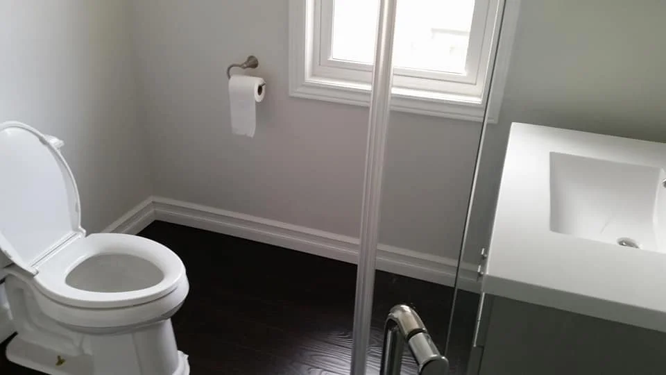 Bright modern bathroom with glass shower enclosure, new trimwork, white toilet, and dark contrasting flooring.