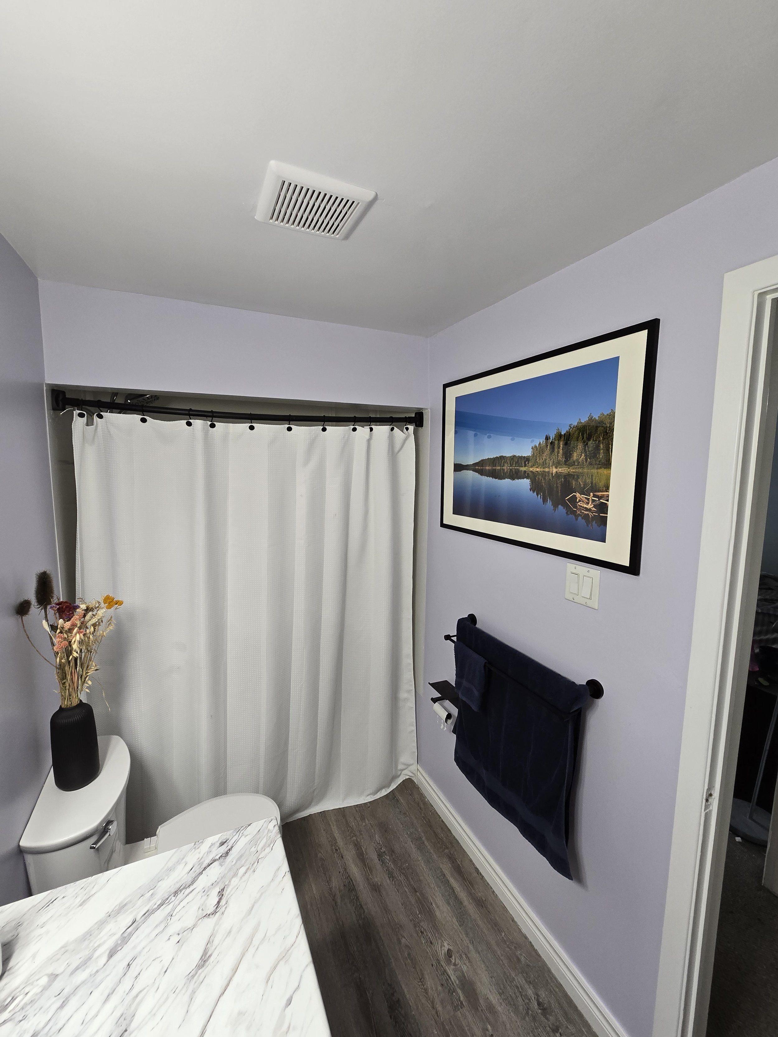 Bathroom renovation in London, Ontario featuring an upgraded exhaust fan, moisture-resistant ceiling paint, luxury vinyl plank flooring, modern matte black hardware, and refreshed finishes by Peckham Professional Contracting.