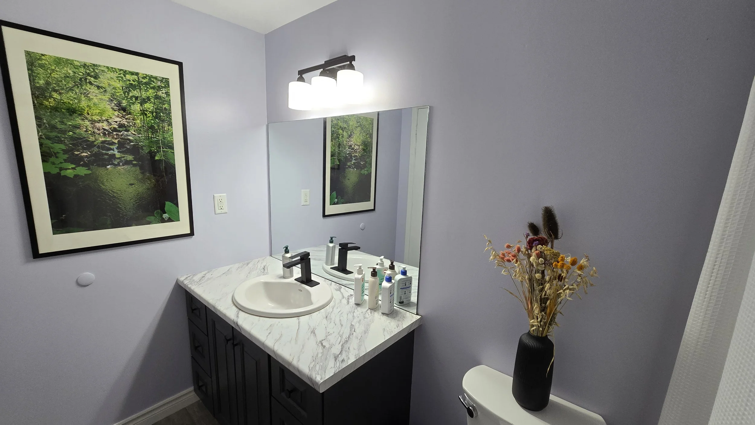 Redecorated bathroom, vanity restoration and painting, custom photography wall art by PeckhamPro