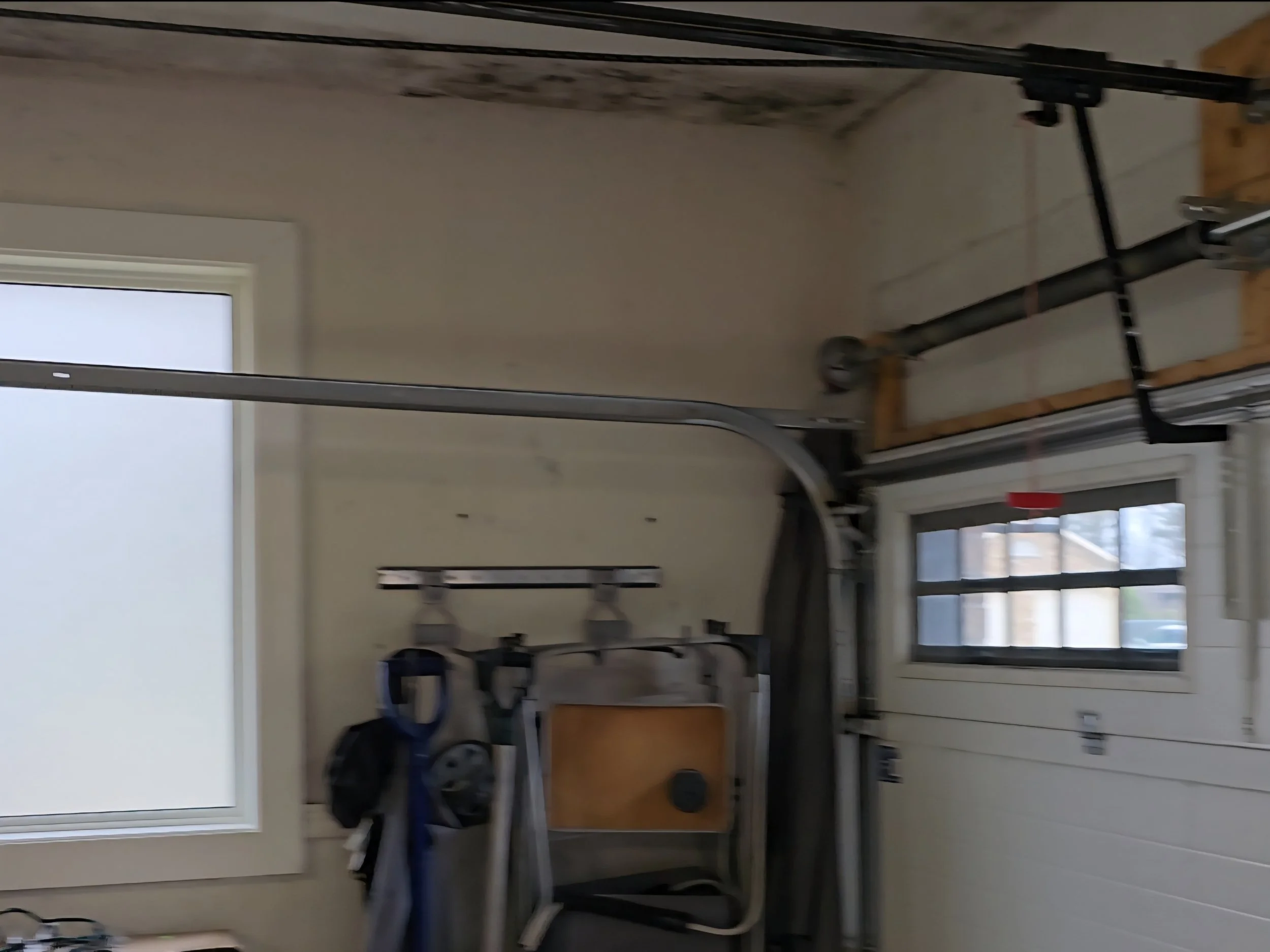 Mold issues on drywall in garage (1).jpg