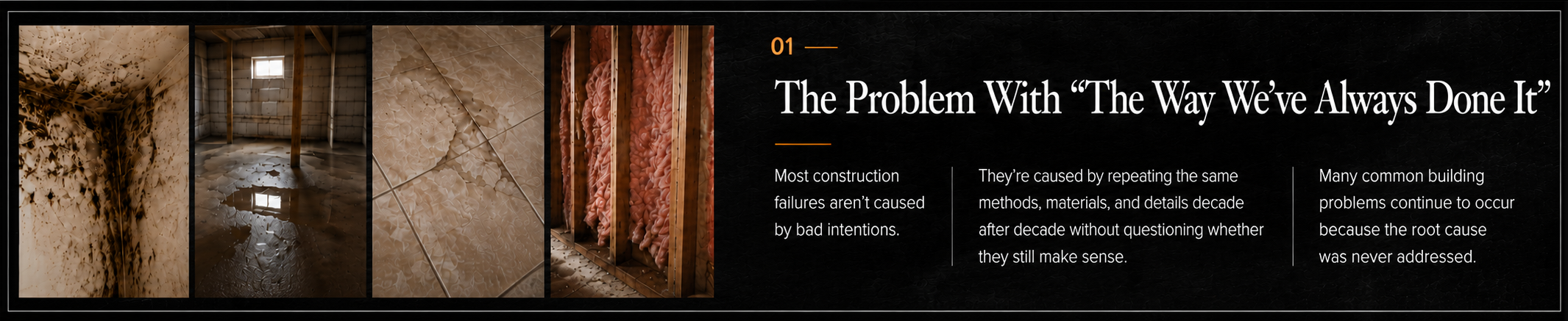 Examples of mold, water damage, cracked tile, and insulation failures illustrating why identifying the root cause is essential for durable, long-lasting renovations.