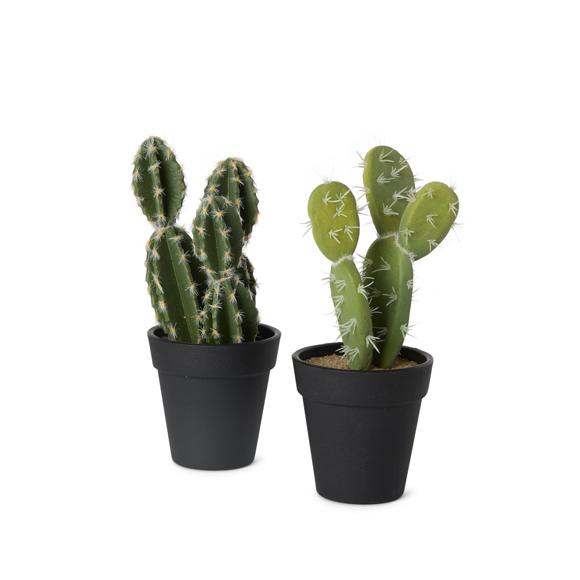 Faux Plants - Small Cacti