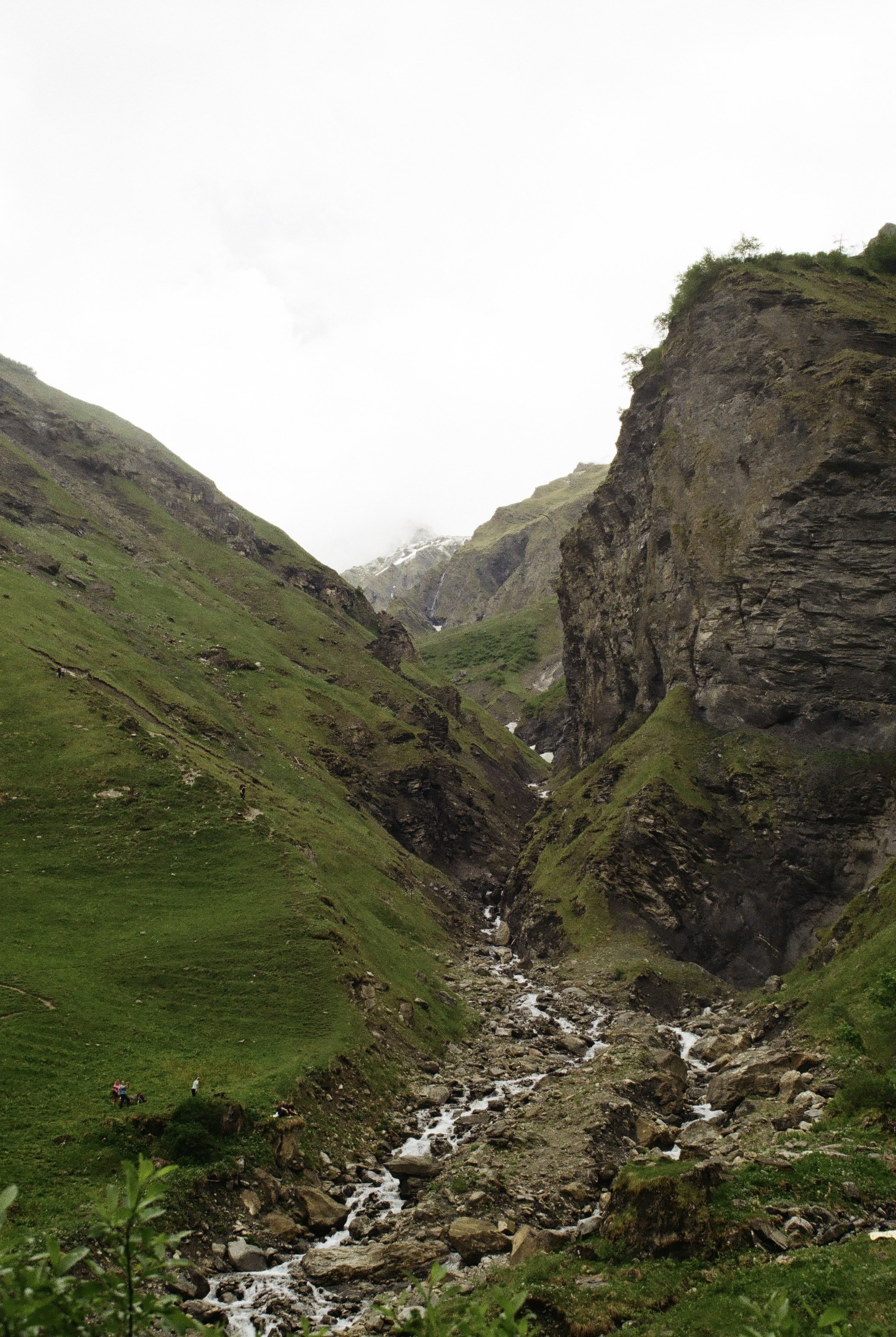 IMG_8765.jpg