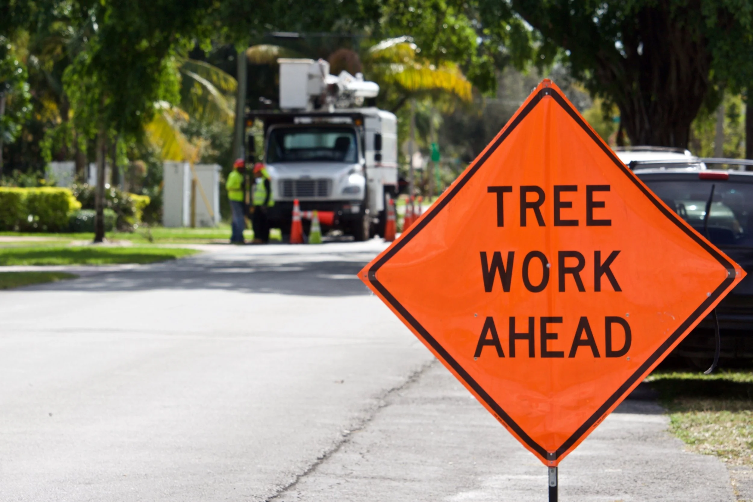 Ridgeline Business Solutions began in 2021  working with tree care businesses.