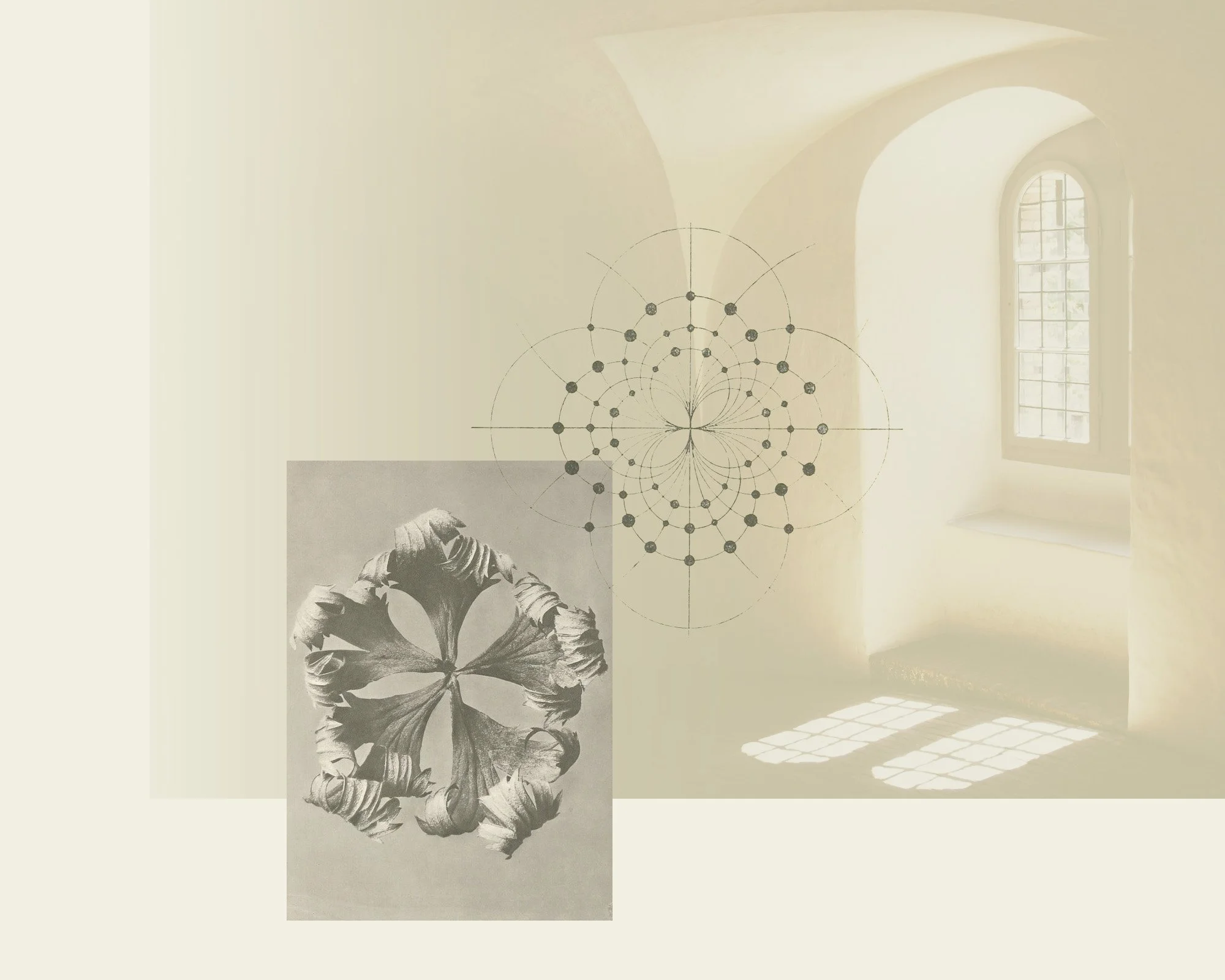 A composite image with a sepia-toned abstract floral illustration, geometric line drawing, and an arched window casting light on a wall.