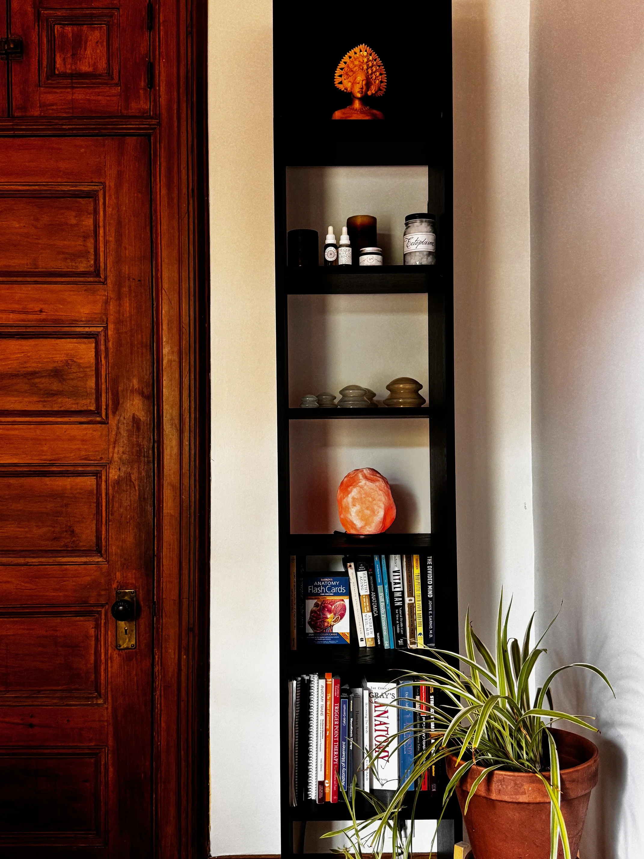 Tall black bookshelf with various items, including anatomy books, a salt lamp, sculptures, aromatherapy bottles, and a green spider plant beside a wooden door.