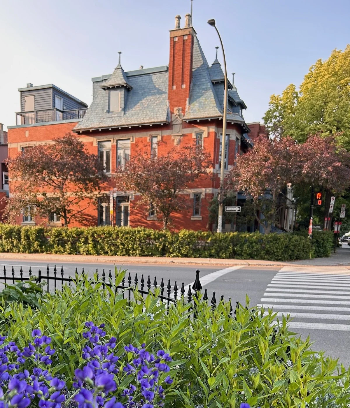 Red brick building with a gray roof and chimney, surrounded by trees and shrubs. In the foreground, purple flowers and green foliage are visible, with a wrought iron fence and a crosswalk leading towards the building.