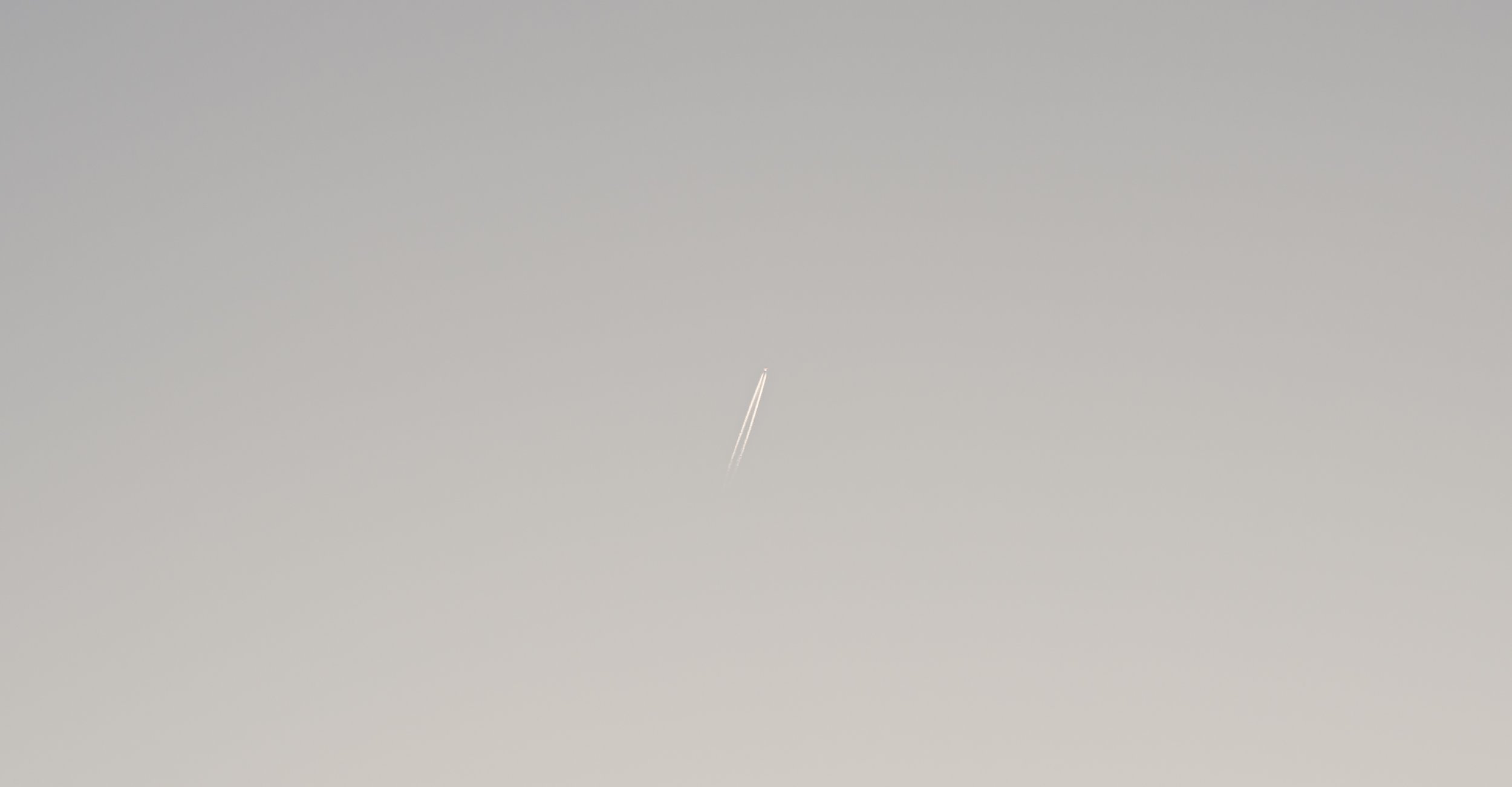 DSC08792.jpg