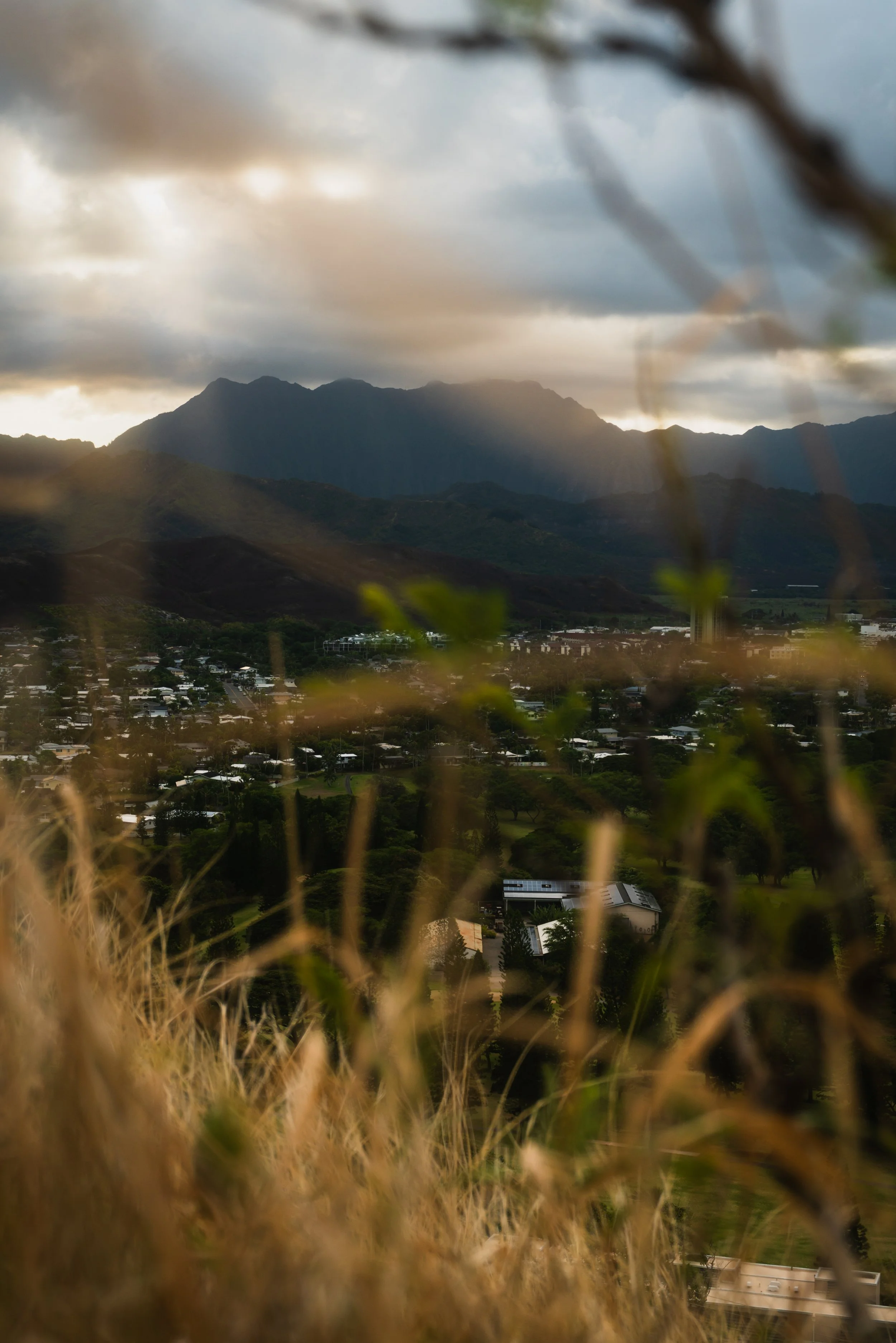 _A7R4179.jpg