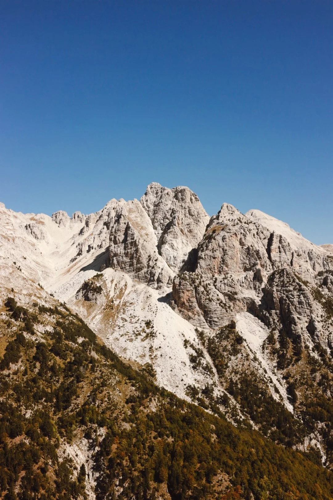 Albania 2025