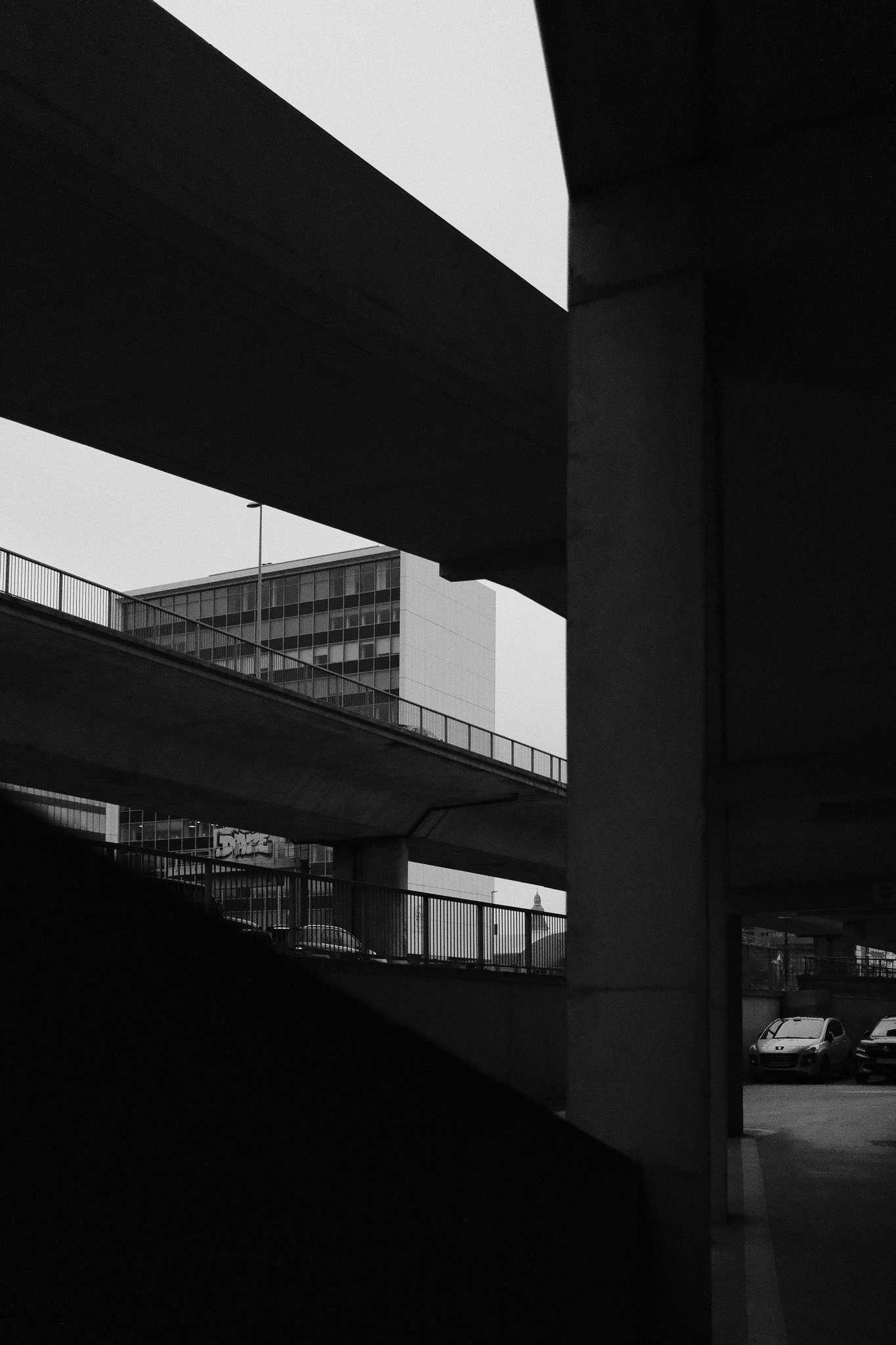 DSCF0214.jpg