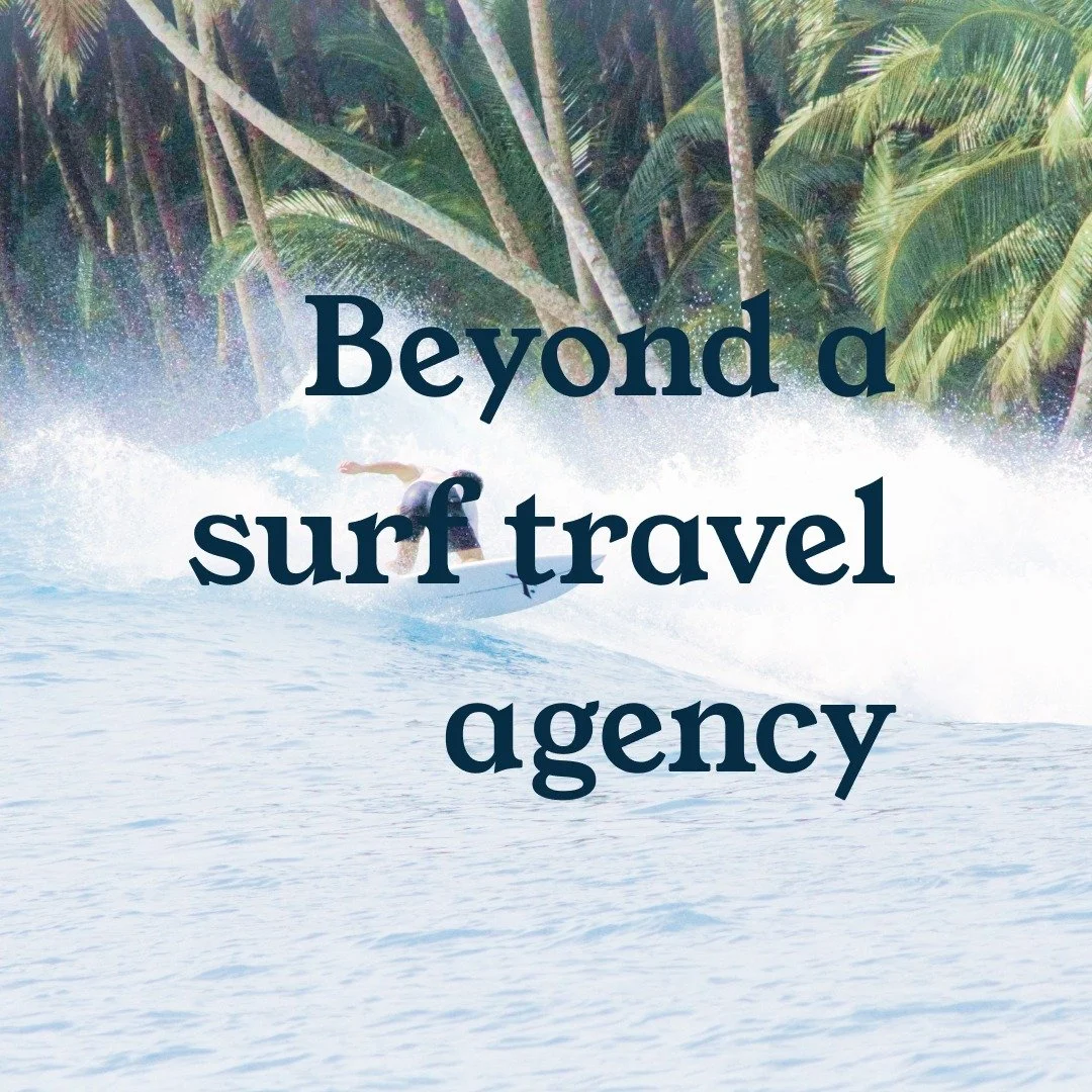 Welcome to The Indo Surf Trip!
