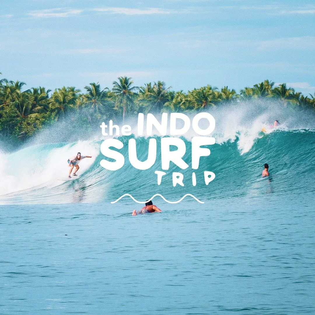 One surf travel partner