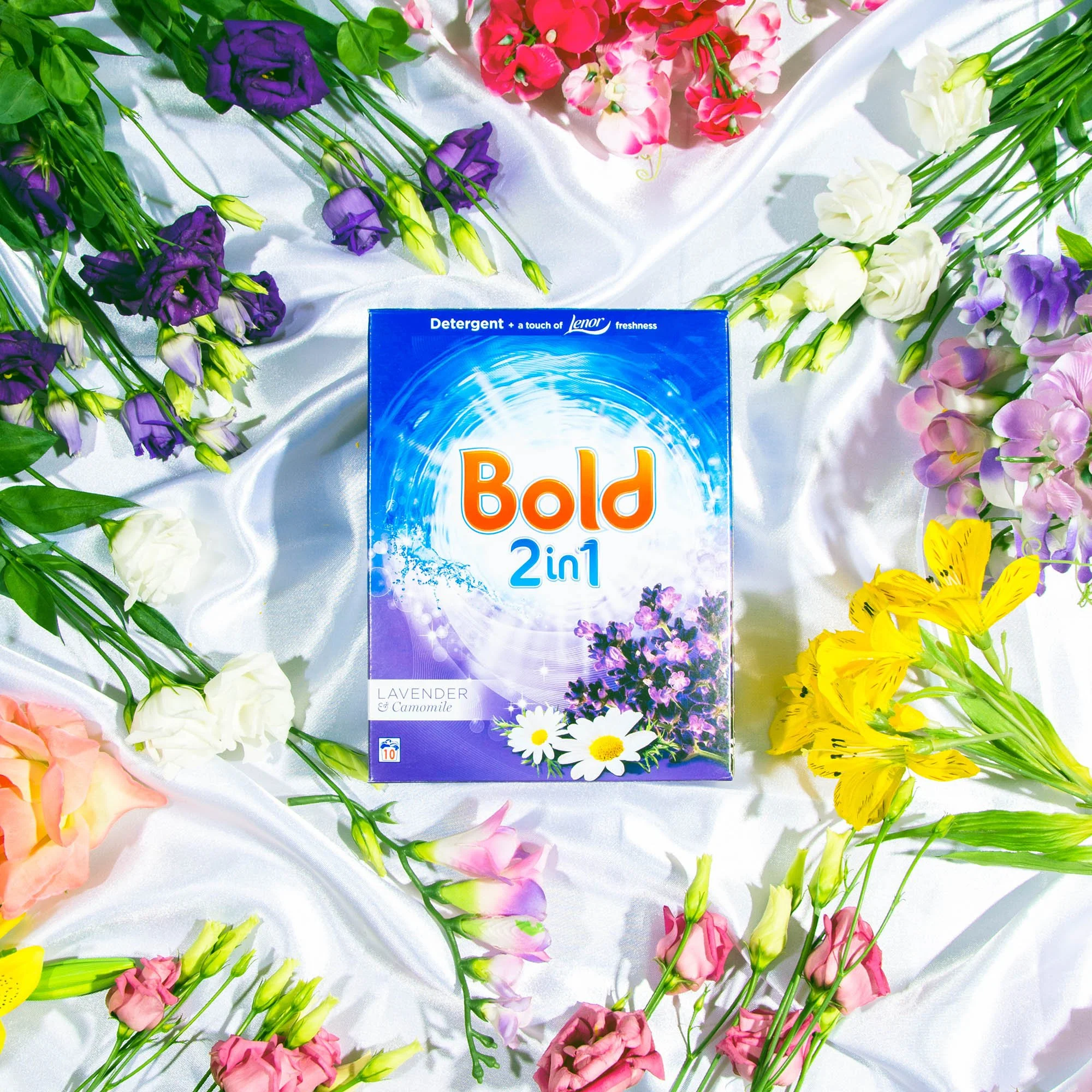 bold 2.jpg