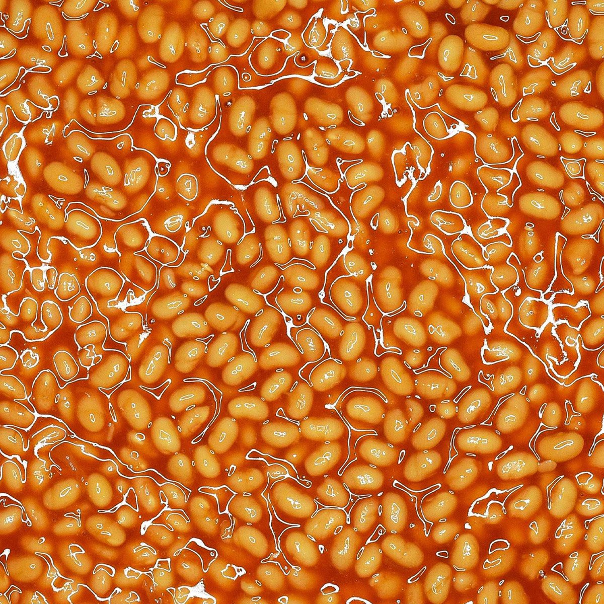 beans.jpg