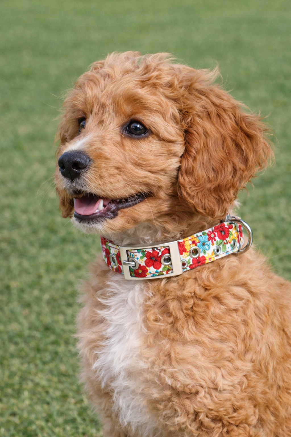 ChatGPT Image Dec 18, 2025, 11_02_18 PM.png