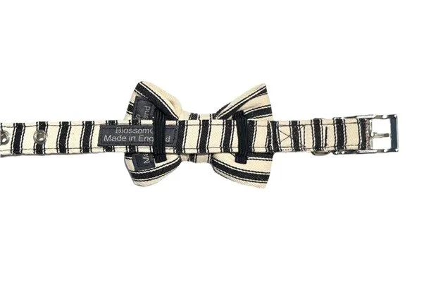 Padington Bowtie back with collar.jpg