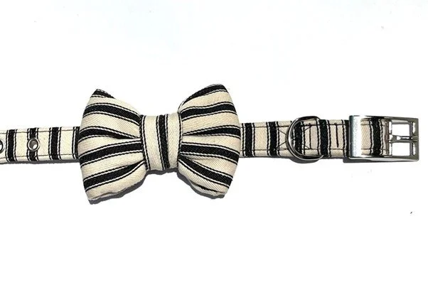 Paddington Bowtie Front with Collar.jpg