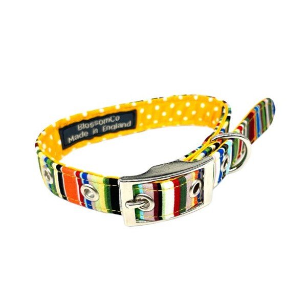 Rock - Dog Collar