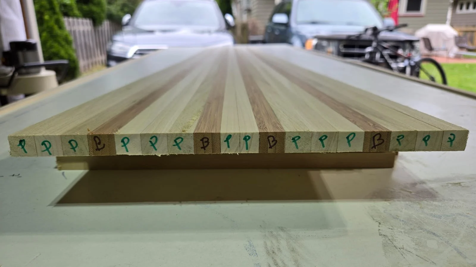 WhatsApp Image 2026-02-17 at 09.30.29.jpeg