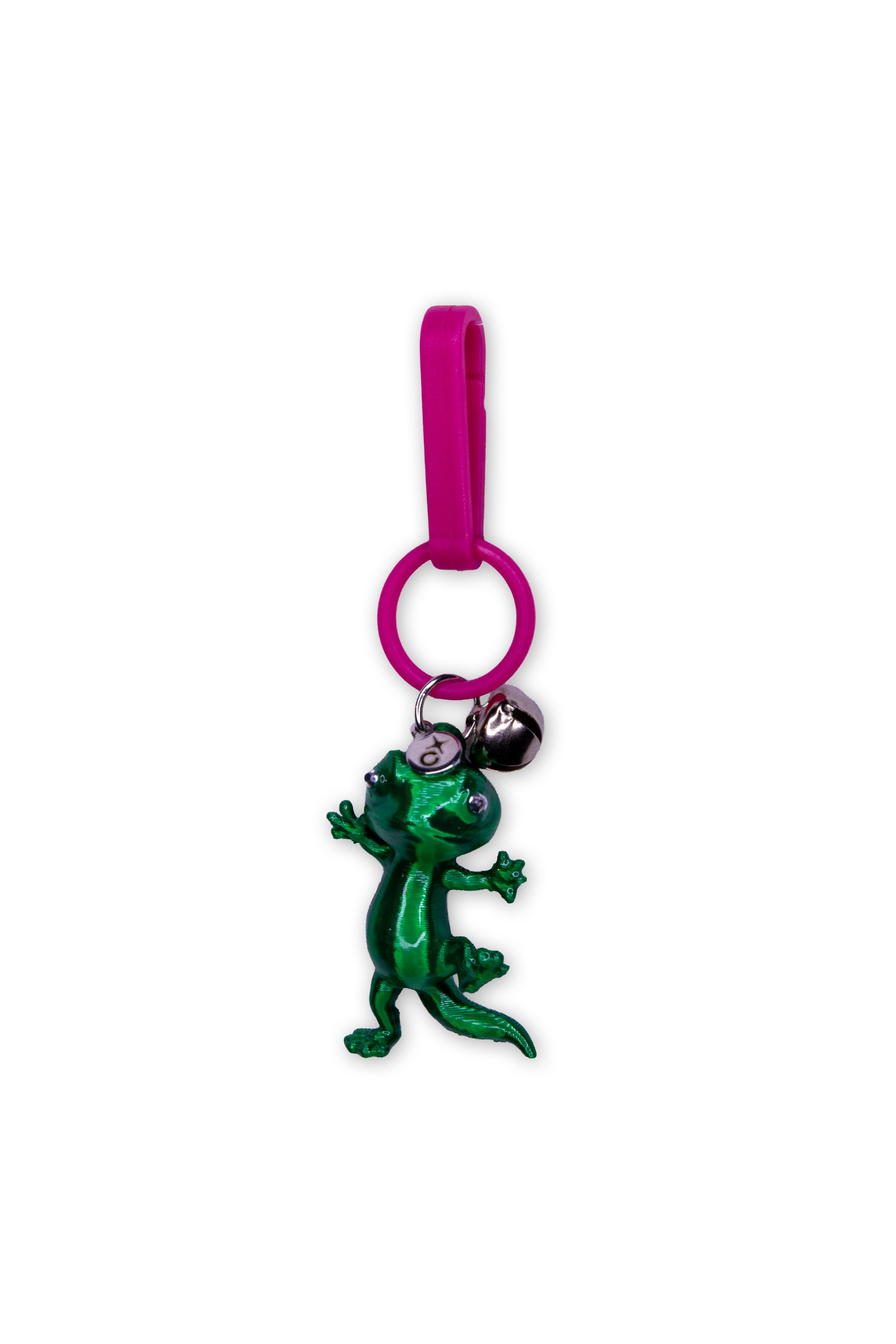lizards charm