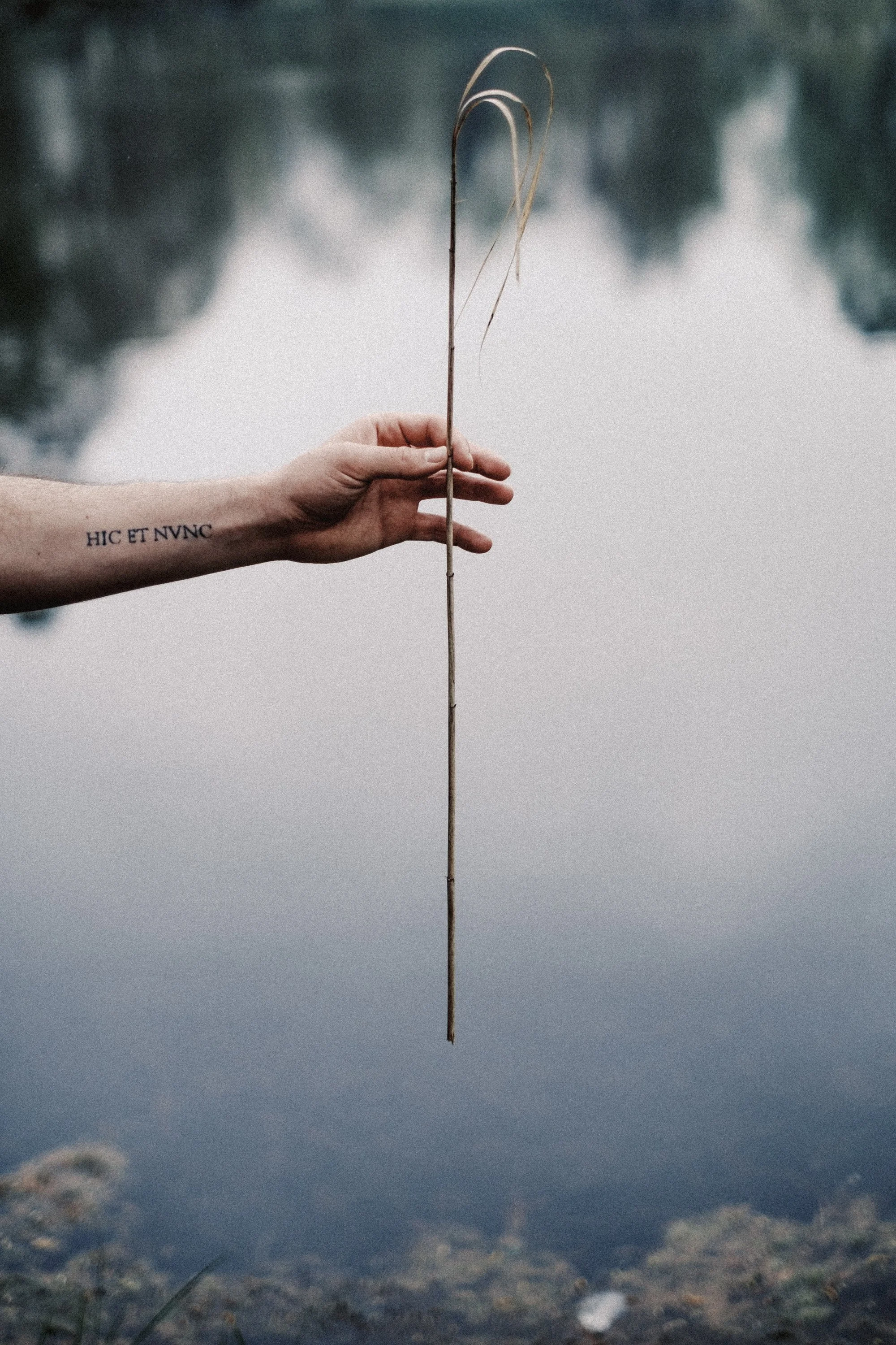 softness and tension Hannover 2024